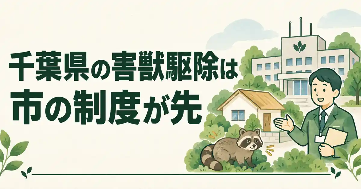 千葉県の害獣駆除は市の制度が先