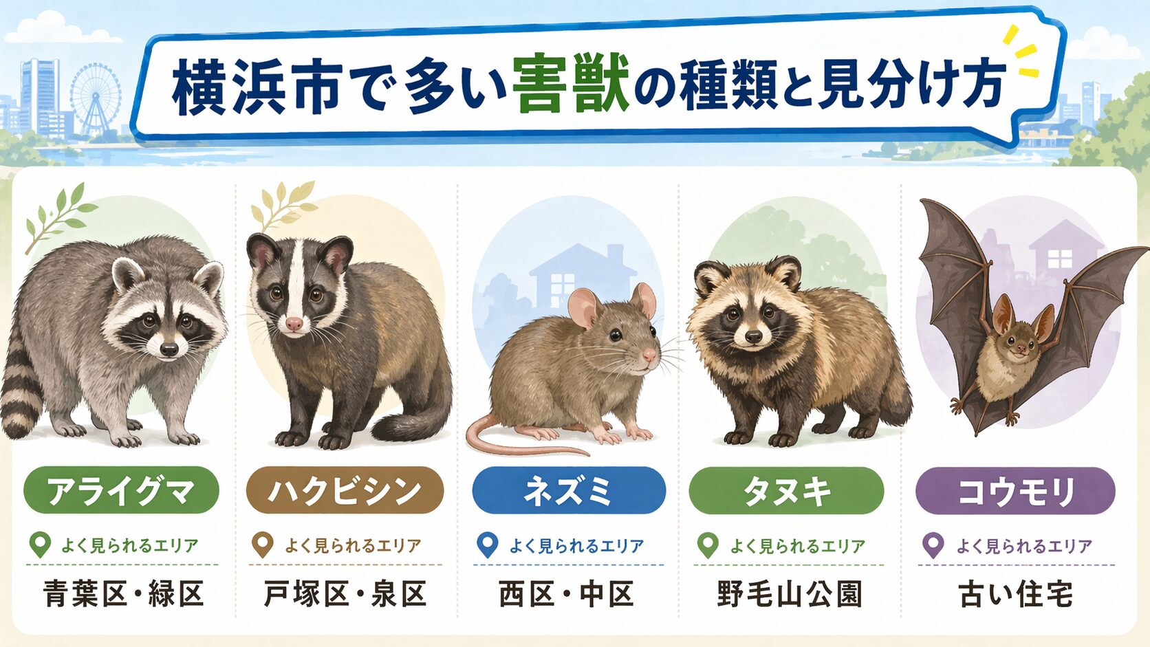 横浜市で多い害獣5種（アライグマ・ハクビシン・ネズミ・タヌキ・コウモリ）の見分け方をカード形式で並べたインフォグラフィック。各害獣のリアルな水彩風イラストと、よく見られるエリア（青葉区・緑区／戸塚区・泉区／西区・中区／野毛山公園／古い住宅）を併記し、みなとみらいの観覧車を背景にした横浜市らしいデザイン。