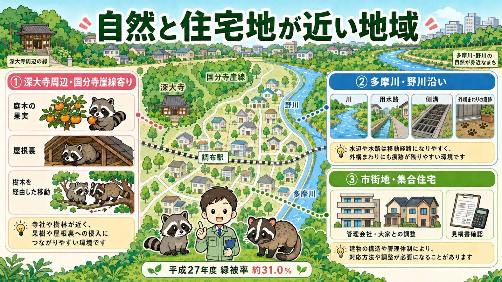 調布市でアライグマ・ハクビシン被害を考えやすい地域特性を、深大寺周辺、多摩川・野川沿い、市街地に分けて整理した図解