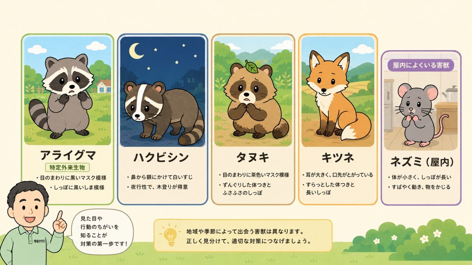 伊勢崎市で見られる害獣を整理した図。市が捕獲対象とする小型獣としてアライグマ(特定外来生物)・ハクビシン(夜行性・屋根裏に侵入)・タヌキ・キツネ、住宅内で注意したい害獣として別枠でネズミ(クマネズミ・屋内に侵入)をそれぞれ名前ラベル付きで示すいらすとや風イラスト。