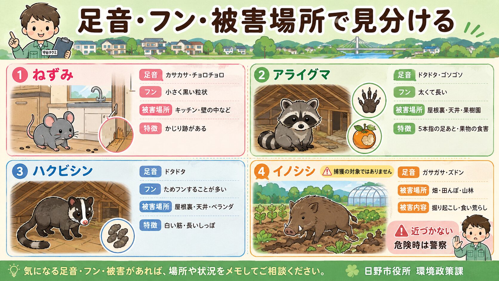 日野市で相談が多いねずみ、アライグマ、ハクビシン、イノシシの特徴と被害の見分け方を整理した図解