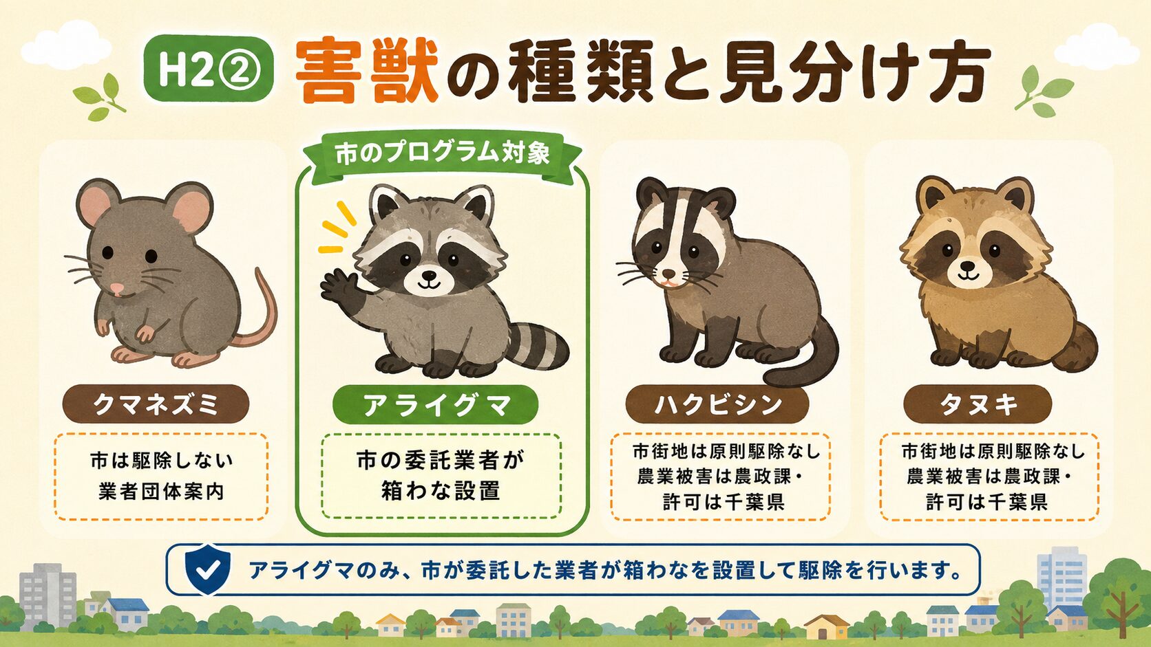 柏市で多い害獣4種類(クマネズミ・アライグマ・ハクビシン・タヌキ)の見分け方と市の対応区分。クマネズミ=市は駆除しない/業者団体案内、アライグマ=市の委託業者が箱わな設置(市のプログラム対象)、ハクビシン・タヌキ=市街地は原則駆除なし/農業被害は農政課・許可は千葉県、と害獣別の対応を明確に分けたインフォグラフィック。