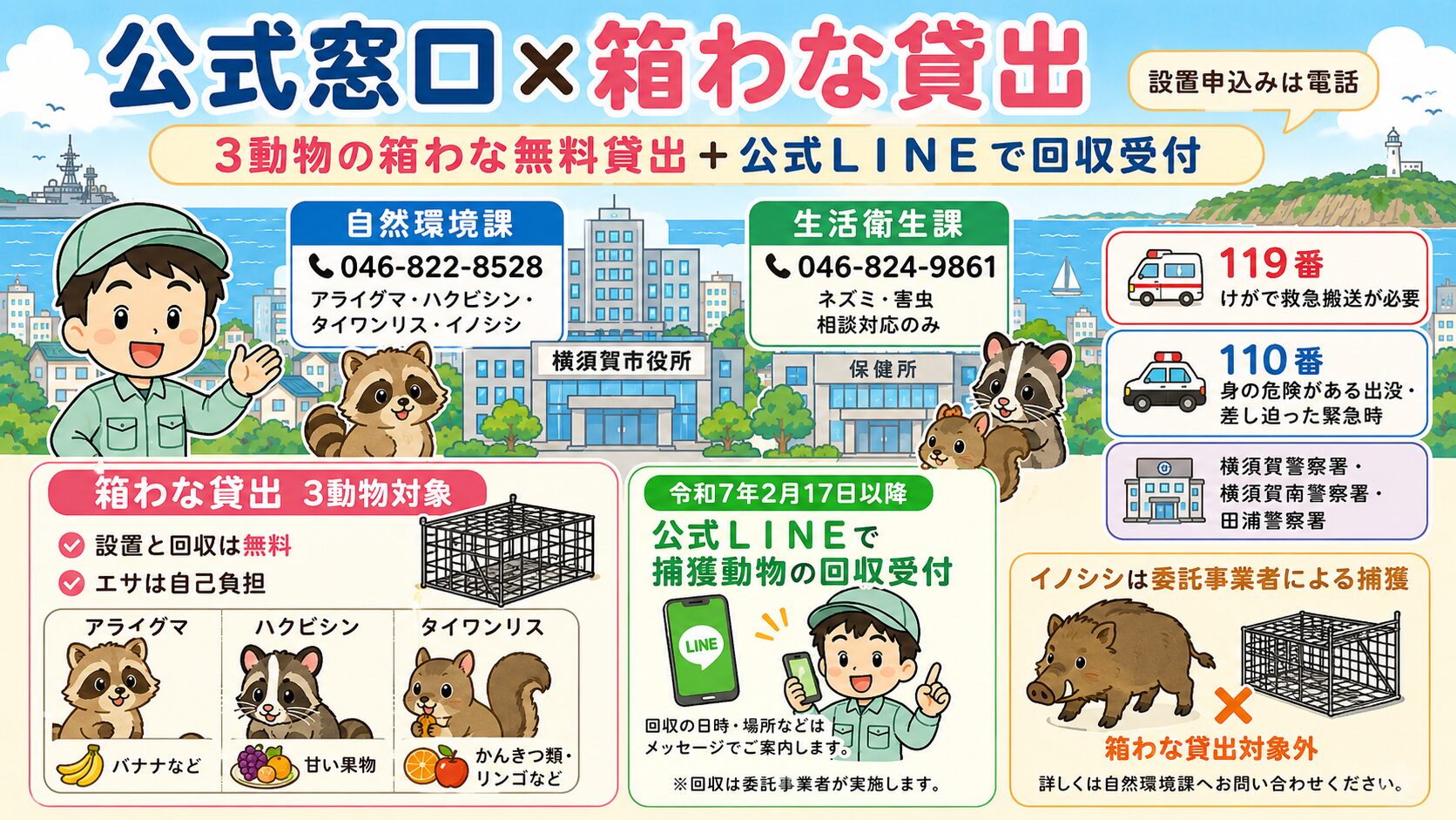 横須賀市の害獣駆除公式窓口と箱わな貸出制度の図解。<br><br>横須賀市役所と保健所を中心に複数窓口を視覚化:①アライグマ・ハクビシン・タイワンリス・イノシシの相談=経営企画部 自然環境課 046-822-8528(横須賀市役所本館1号館5階)/②ネズミ・害虫の相談=民生局健康部保健所 生活衛生課 046-824-9861(ウェルシティ市民プラザ3階・市は駆除を行わず相談対応のみ)/③けがで救急搬送が必要=119番/④身の危険がある出没・差し迫った緊急時=110番(横須賀警察署・横須賀南警察署・田浦警察署など管轄の警察署)/⑤箱わな貸出(アライグマ・ハクビシン・タイワンリスの3動物対象・設置と回収は無料・エサのみ自己負担)/⑥2025年2月17日以降は市公式LINEで引取り依頼受付/⑦イノシシは令和元年度から委託事業者による捕獲(神奈川県イノシシ管理計画準拠)、を明示。