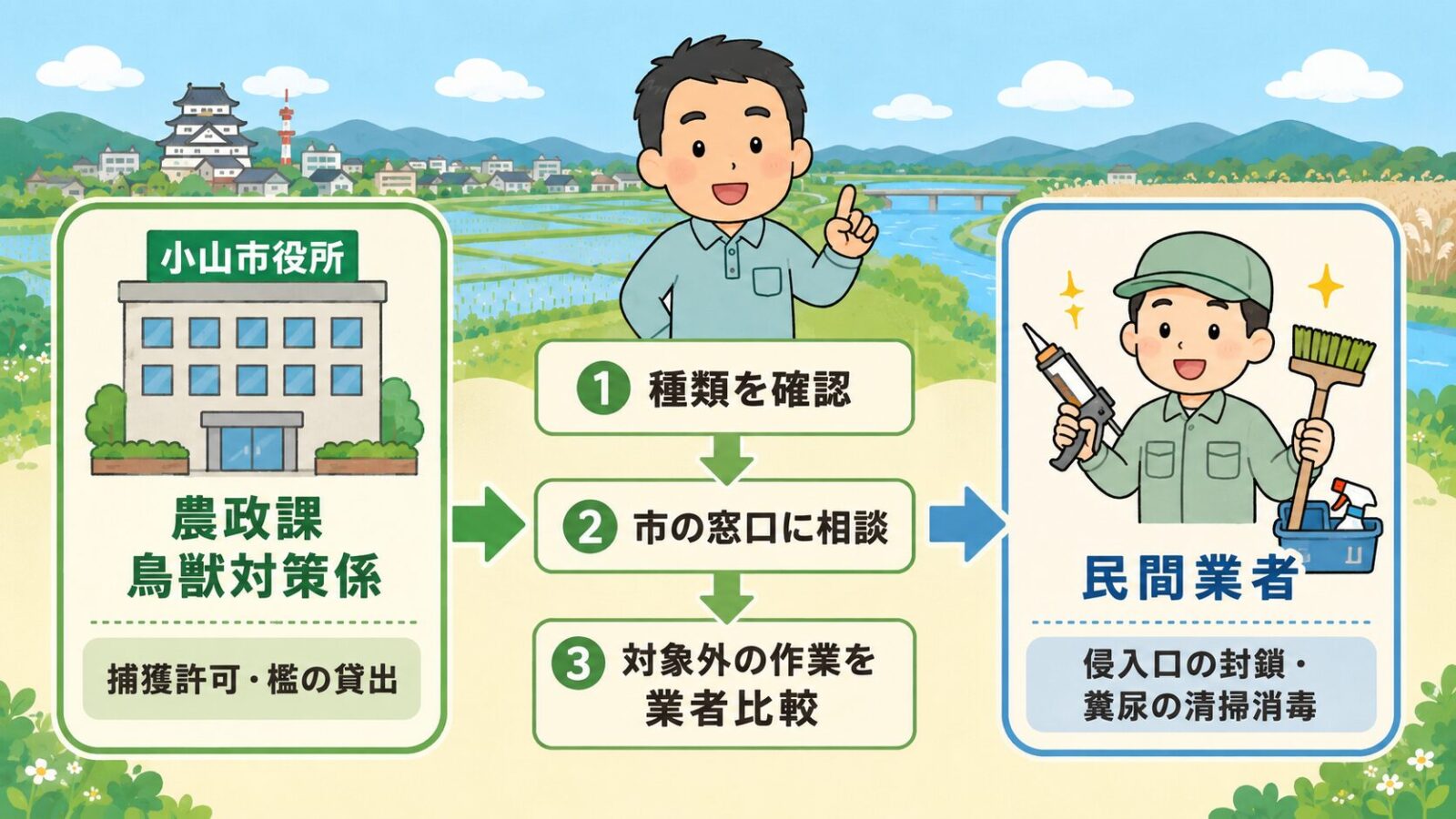 小山市の害獣相談はまずどこに相談するかを示す図。市の公式窓口(農政課鳥獣対策係が捕獲許可と檻の貸出を担当)と民間業者(侵入口の封鎖・糞尿の清掃消毒)の役割分担と、種類を確認→市の窓口に相談→制度の対象外作業を業者比較の3ステップを守谷タクミが案内するいらすとや風イラスト。