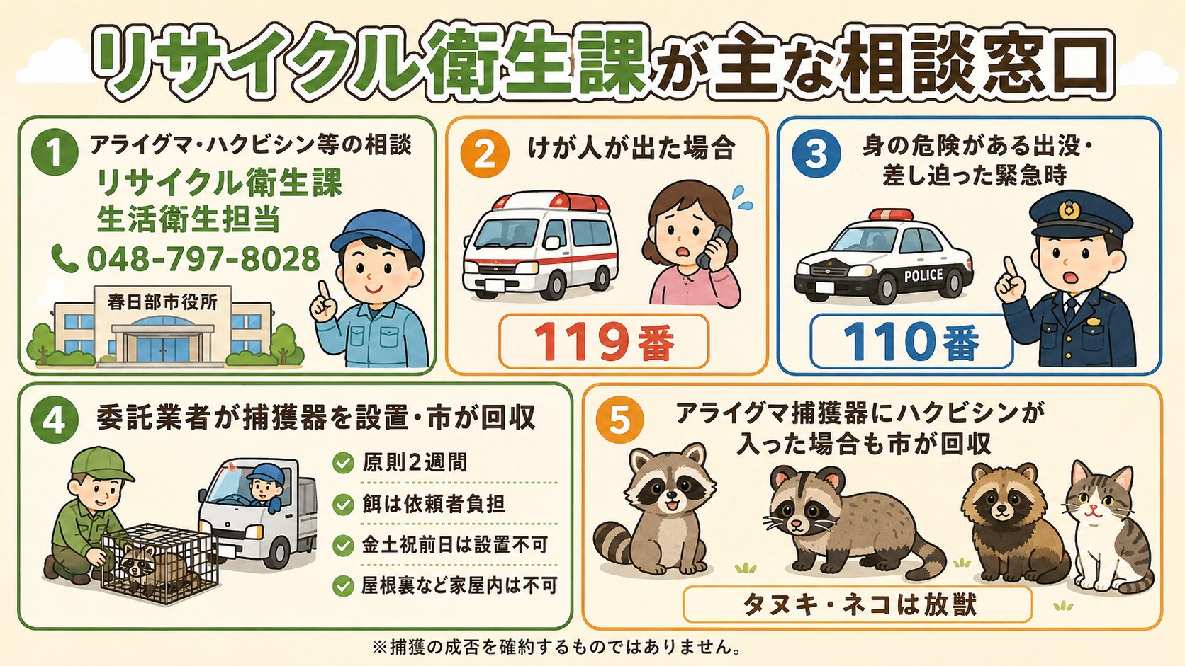 春日部市の害獣駆除公式窓口とアライグマ箱わな制度の図解。春日部市役所第2庁舎3階を中心に①アライグマ・ハクビシン・害獣全般=リサイクル衛生課 生活衛生担当 048-797-8028、②けがをした場合=119番、③身の危険がある出没・差し迫った緊急時=110番、④市の制度で委託業者が箱わなを設置(原則2週間・餌は依頼者負担・金土祝前日は設置不可・屋根裏など家屋内は不可)、⑤アライグマ捕獲器にハクビシンが入った場合も市が回収、を視覚化。「リサイクル衛生課に一元化」と明示。