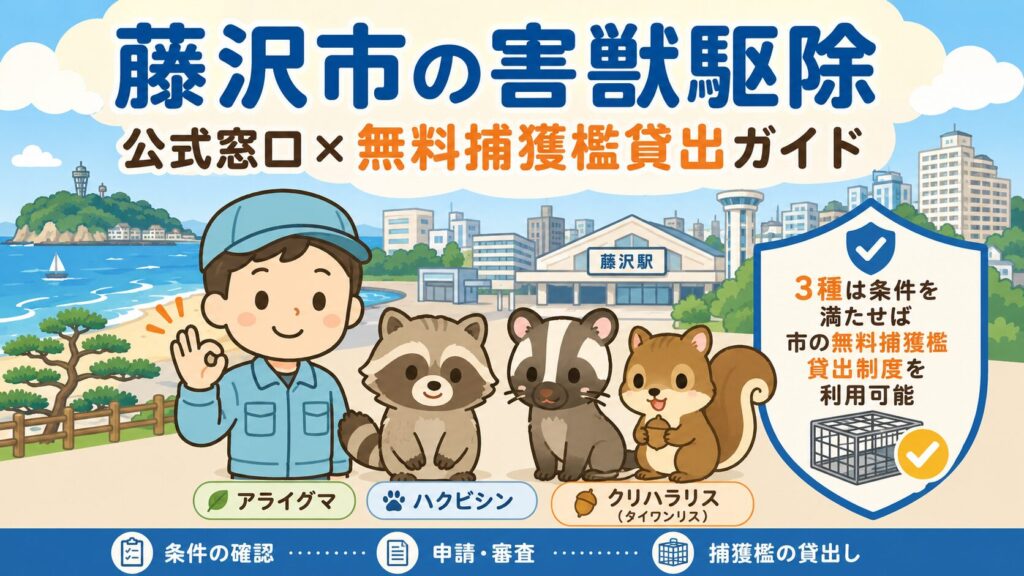 藤沢市害獣駆除のメインアイキャッチ。アライグマ・ハクビシン・クリハラリス（タイワンリス）と藤沢市の街並み、3種は条件を満たせば市の無料捕獲檻貸出制度を利用可能な体制を表現したいらすとや風イラスト。