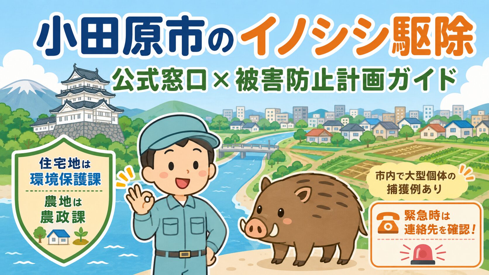 小田原市イノシシ駆除のメインアイキャッチ。イノシシ(小田原市内で150kgの大型個体捕獲例あり)と小田原市の街並み、住宅地は環境保護課・農地は農政課で窓口が分かれる体制を表現したいらすとや風イラスト。
