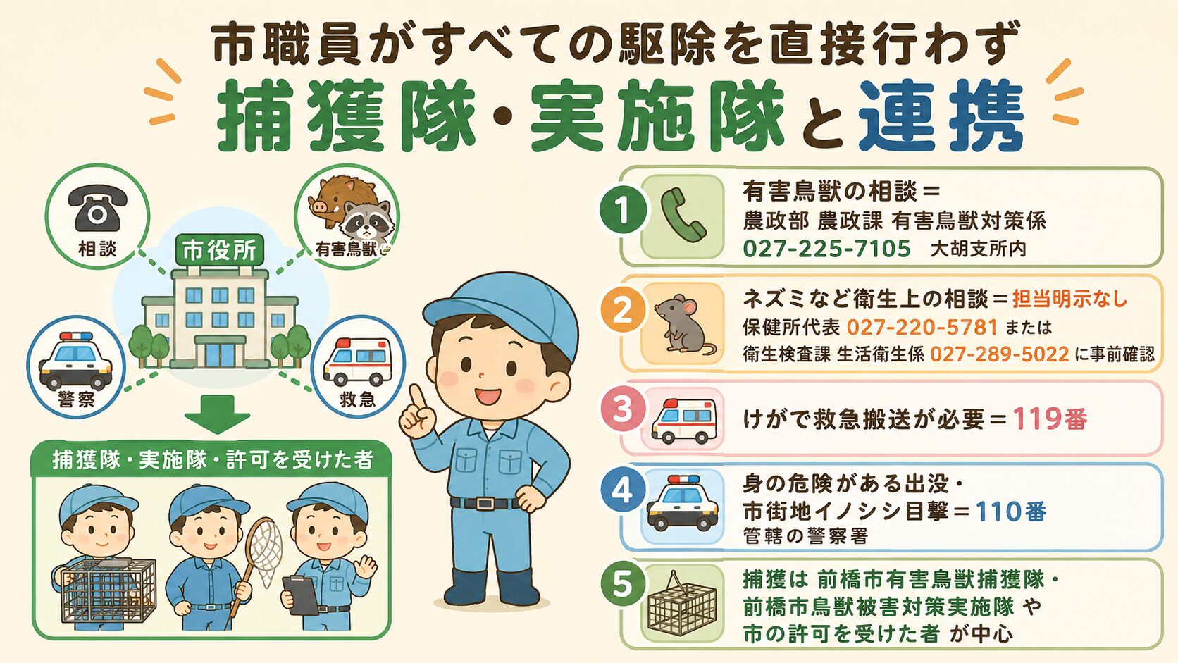 前橋市の害獣駆除公式窓口と有害鳥獣捕獲隊の連携の図解。<br><br>大胡支所内の農政部 農政課 有害鳥獣対策係(027-225-7105)と前橋市保健所 衛生検査課(027-220-5781)の2窓口体制を視覚化。①アライグマ・ハクビシン・タヌキ・イノシシ・シカ・サルの相談=農政課有害鳥獣対策係/②ネズミ・衛生害虫の相談=衛生検査課/③けがで救急搬送が必要=119番/④身の危険がある出没・差し迫った緊急時=110番/⑤捕獲は前橋市有害鳥獣捕獲隊・前橋市鳥獣被害対策実施隊や市の許可を受けた者が中心、を明示。