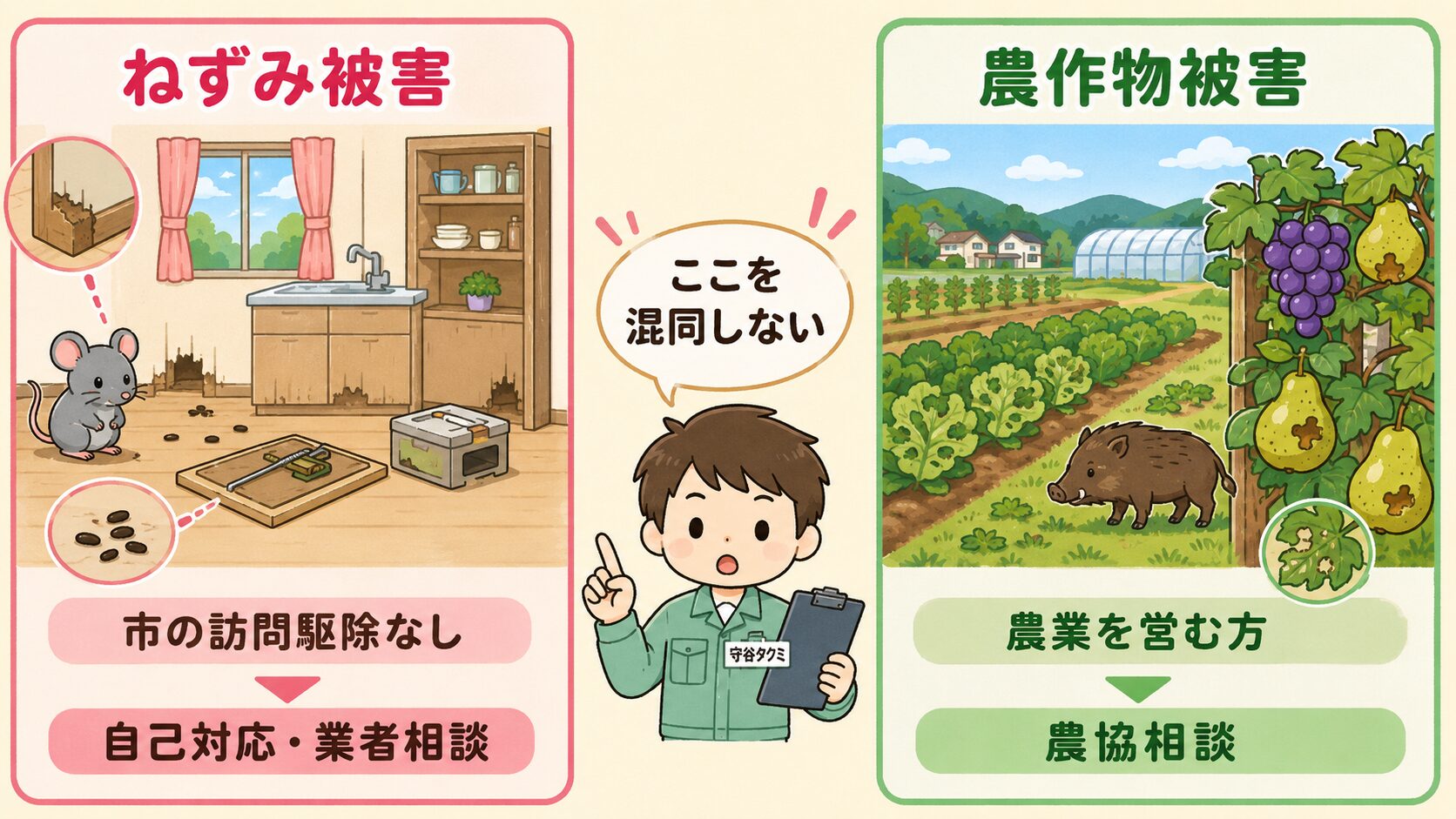 日野市のねずみ被害と農作物被害で相談先が違うことを、住宅内被害と農業被害に分けて整理した図解