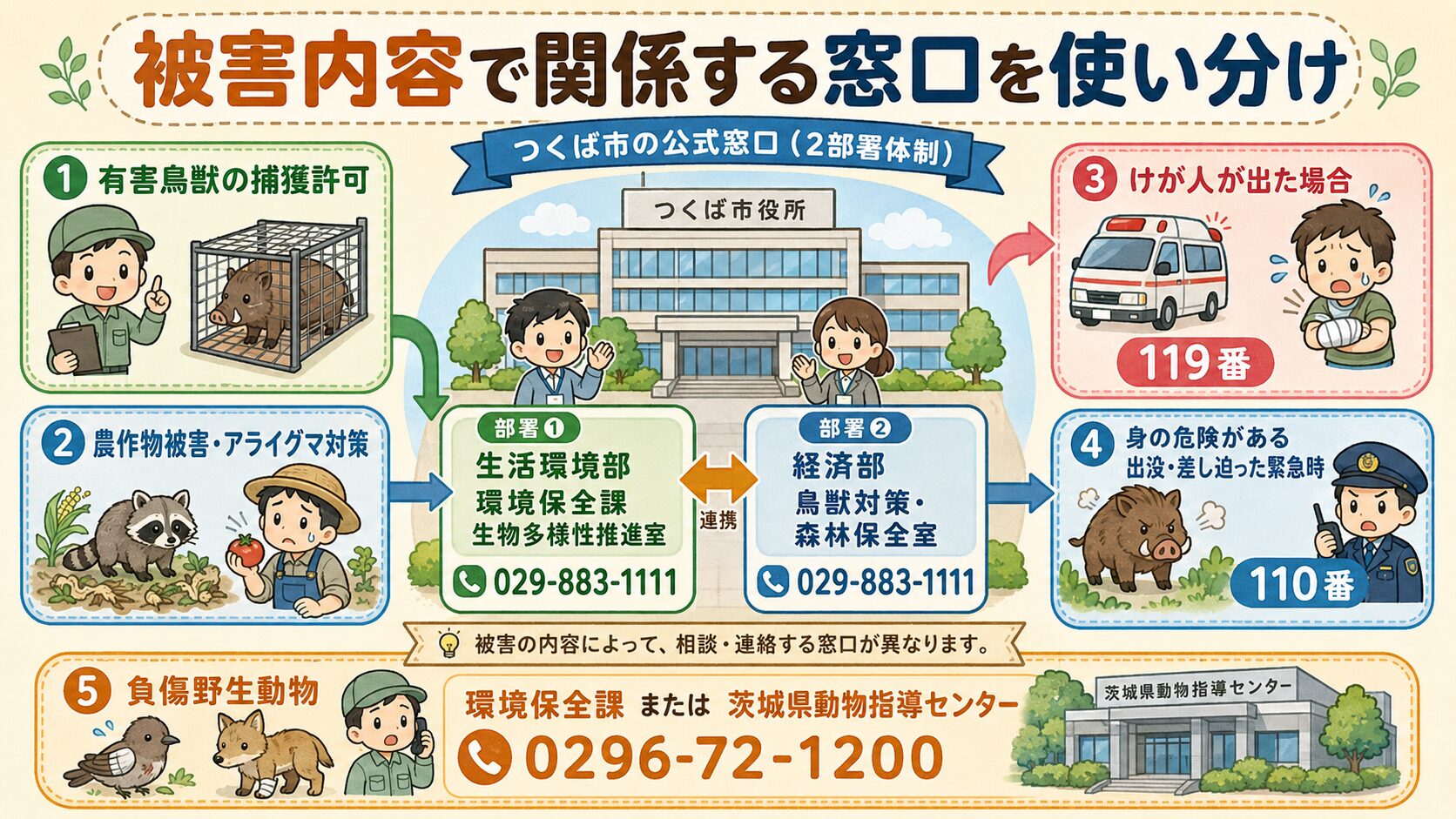 つくば市の害獣駆除公式窓口の図解。つくば市役所(研究学園一丁目1番地1)を中心に2部署体制を視覚化:①家屋被害(屋根裏のアライグマ・ハクビシン等)=生活環境部 環境保全課 生物多様性推進室 029-883-1111、②農作物被害(イノシシ・アライグマ・ハクビシン・カラス)=経済部 鳥獣対策・森林保全室 029-883-1111、③けがをした場合=119番、④身の危険がある出没・差し迫った緊急時=110番、⑤負傷野生動物=茨城県動物指導センター0296-72-1200、を視覚化。中央に「家屋か農地かで窓口を使い分け」と明示。