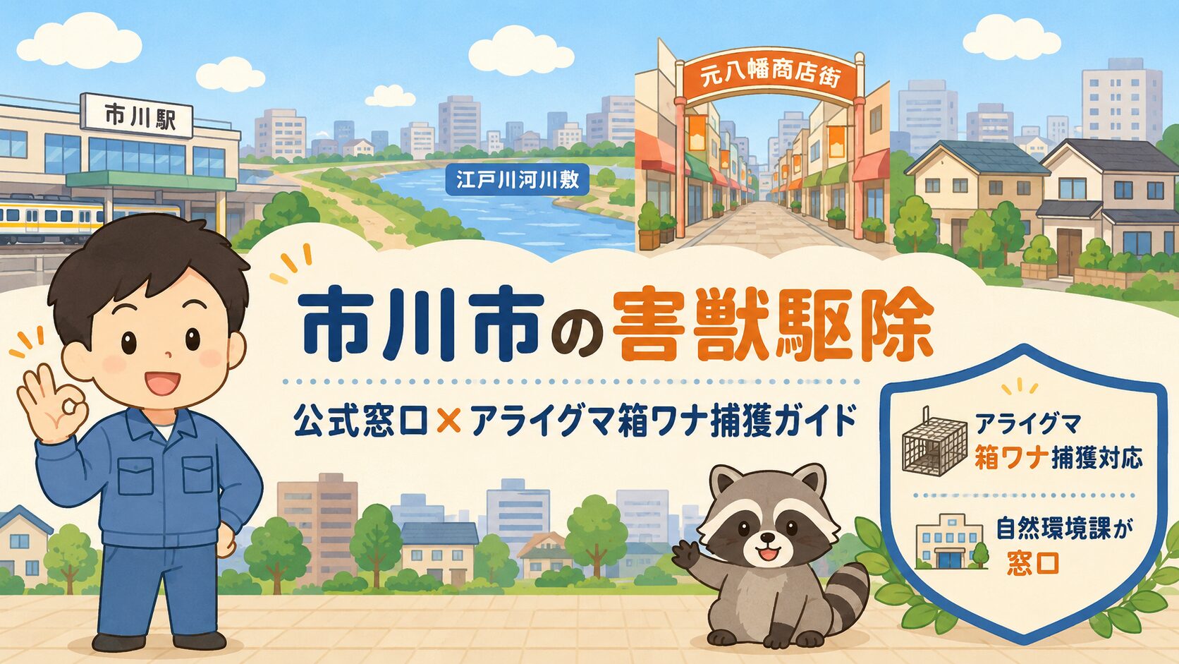 市川市害獣駆除のメインアイキャッチ。アライグマと市川市の街並み、自然環境課が条件に応じて箱ワナで捕獲対応する制度を表現したいらすとや風イラスト。