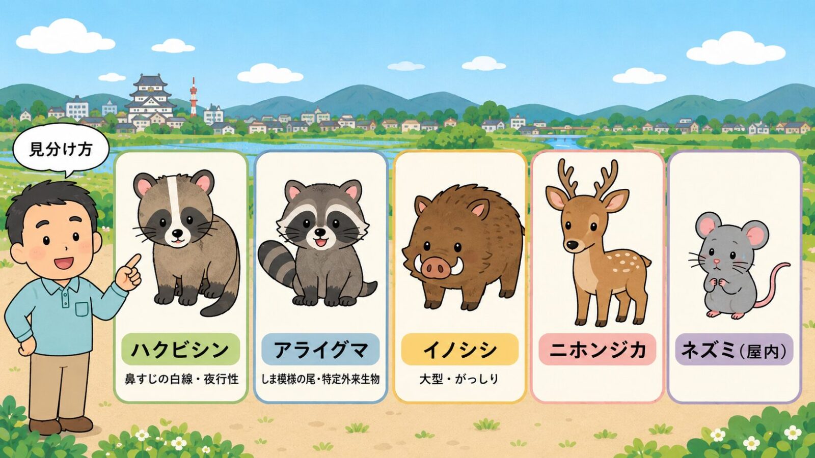 小山市で見られる害獣を整理した図。市公式の鳥獣被害防止計画で対象とされる有害鳥獣としてイノシシ(大型獣・思川河川敷や渡良瀬遊水地で生息確認)・ハクビシン(夜行性・屋根裏に侵入)・アライグマ(特定外来生物)・ニホンジカ(思川沿いで目撃増)、住宅内で注意したい害獣として別枠でネズミ(クマネズミ・屋内に侵入)を示すいらすとや風イラスト。
