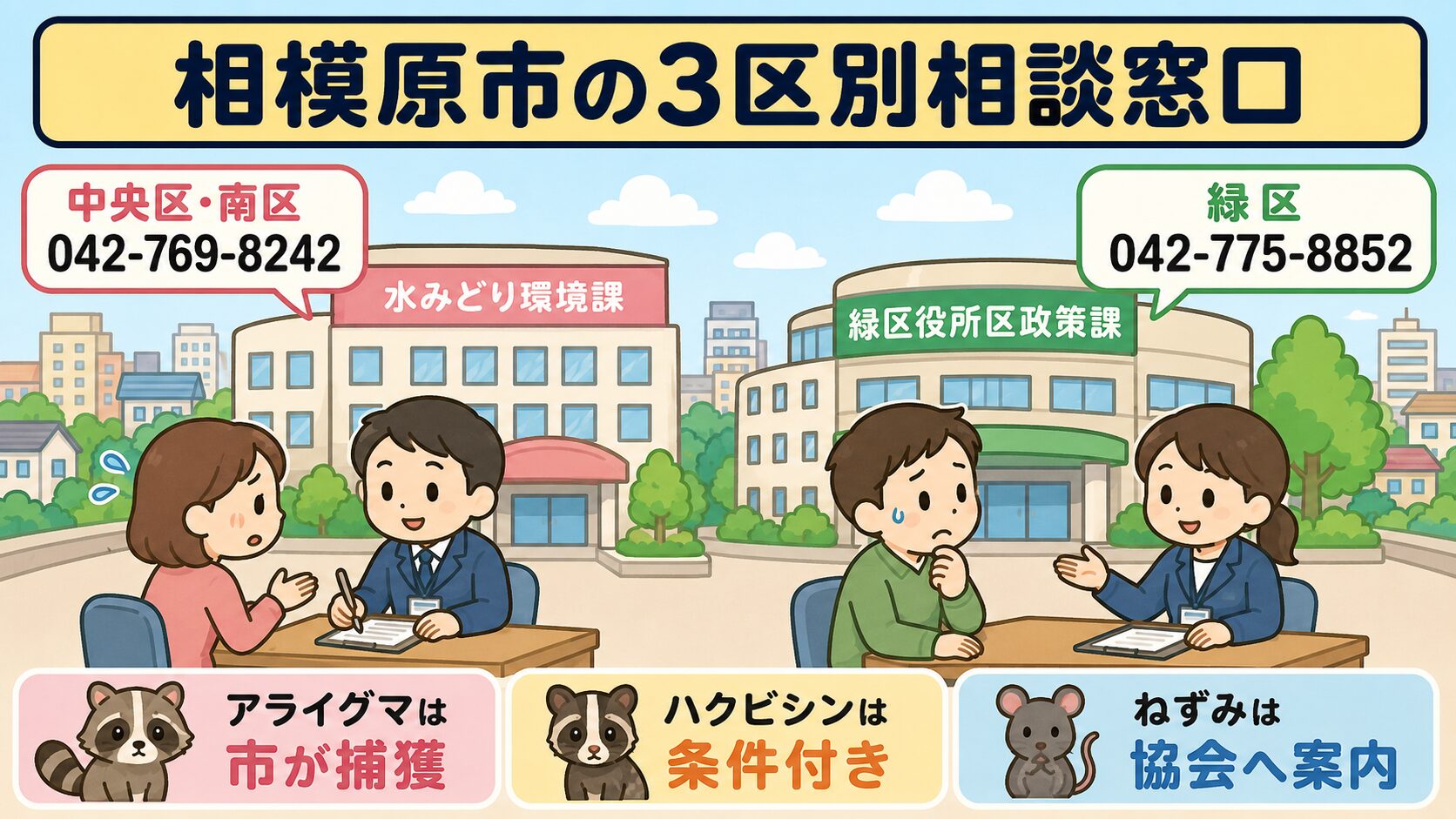 相模原市の3区別の害獣相談窓口を、緑区の合同庁舎・中央区の市役所本館を地図に配置し、相談中の市民・職員のいらすとや風キャラクターで表現したインフォグラフィック。電話番号と所在地、アライグマ防除実施計画への矢印も配置。