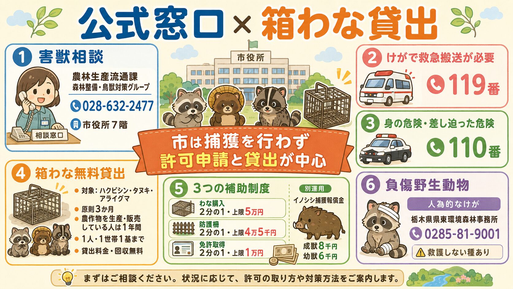 宇都宮市の害獣駆除公式窓口と箱わな貸出の図解。<br><br>宇都宮市役所7階を中心に①アライグマ・ハクビシン・タヌキ・イノシシなどの害獣相談=経済部 農林生産流通課 森林整備・鳥獣対策グループ 028-632-2477、②けがをした場合=119番、③身の危険がある出没・差し迫った緊急時=110番、④箱わな無料貸出(ハクビシン・タヌキ・アライグマ/一般3か月・農業者1年・捕獲個体回収も無料)、⑤補助制度3種(わな購入・防護柵・免許取得)+イノシシ捕獲報償金(別運用)、を視覚化。<br><br>中央に「市は捕獲を行わず許可申請と貸出が中心」と明示。