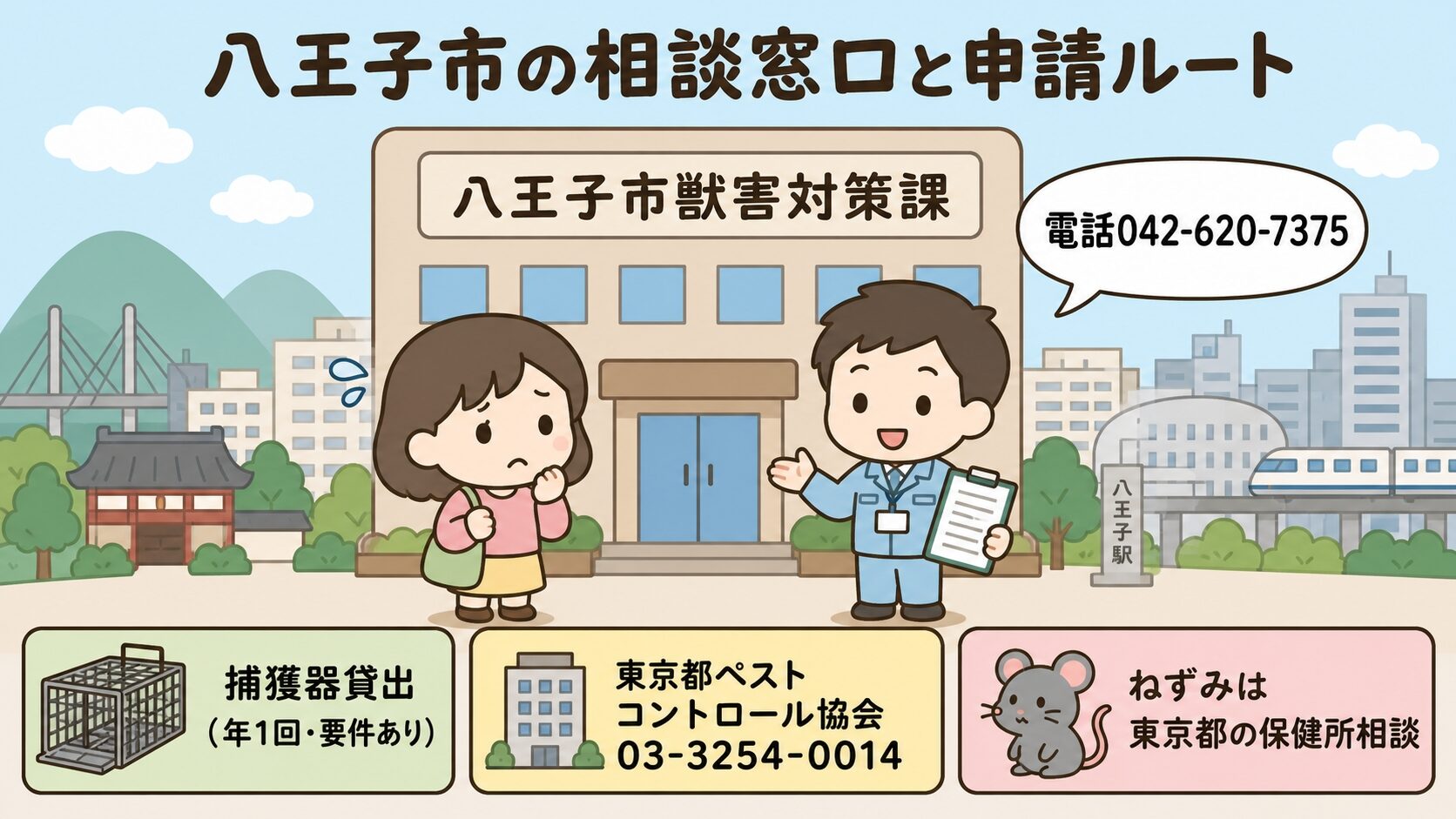 八王子市の相談窓口と捕獲器貸出制度を、獣害対策課の建物と相談中の市民・職員のいらすとや風キャラクターで表現したインフォグラフィック。電話番号042-620-7375、所在地(元町本郷町3-24-1)、捕獲器貸出制度、東京都ペストコントロール協会への矢印を配置。