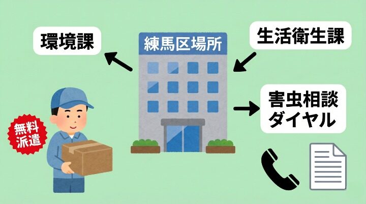 練馬区の行政相談窓口と独自制度。練馬区役所を中央に配置し、環境課(無料派遣)・生活衛生課・害虫相談ダイヤルの3窓口を矢印で示す構成。箱わなを持つ作業員と「無料派遣」のシール、電話アイコンと書類アイコンを併記。