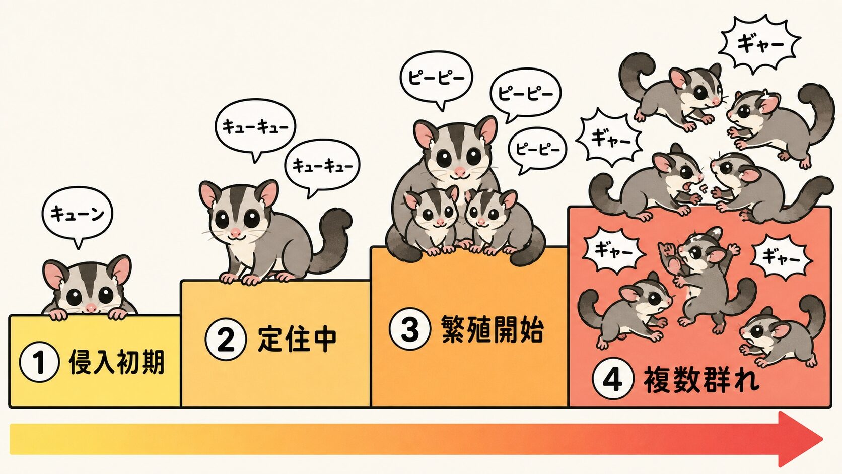 侵入初期・定住中・繁殖開始・複数群れの4段階を階段で示すいらすとや風イラスト。段階が上がるほど色が濃くなり、複数のハクビシンキャラが配置される