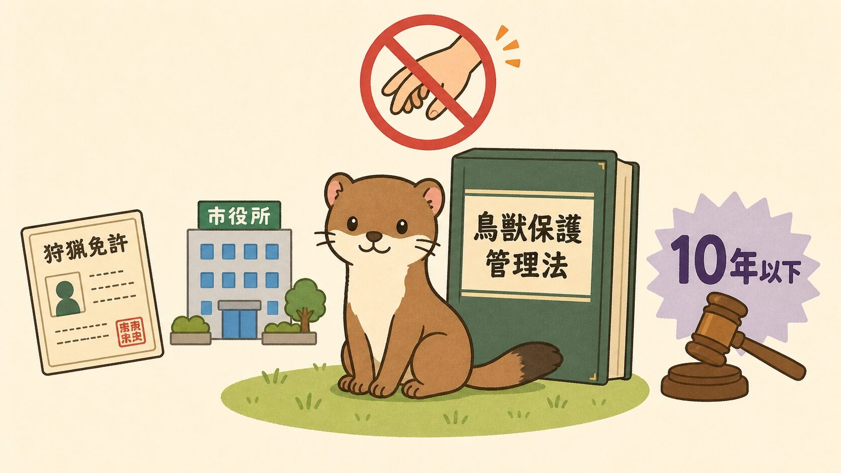 鳥獣保護管理法のもとでイタチを合法的に扱う方法を解説するいらすとや風イラスト。法律書とかわいいイタチキャラ、無許可捕獲禁止アイコンを配置
