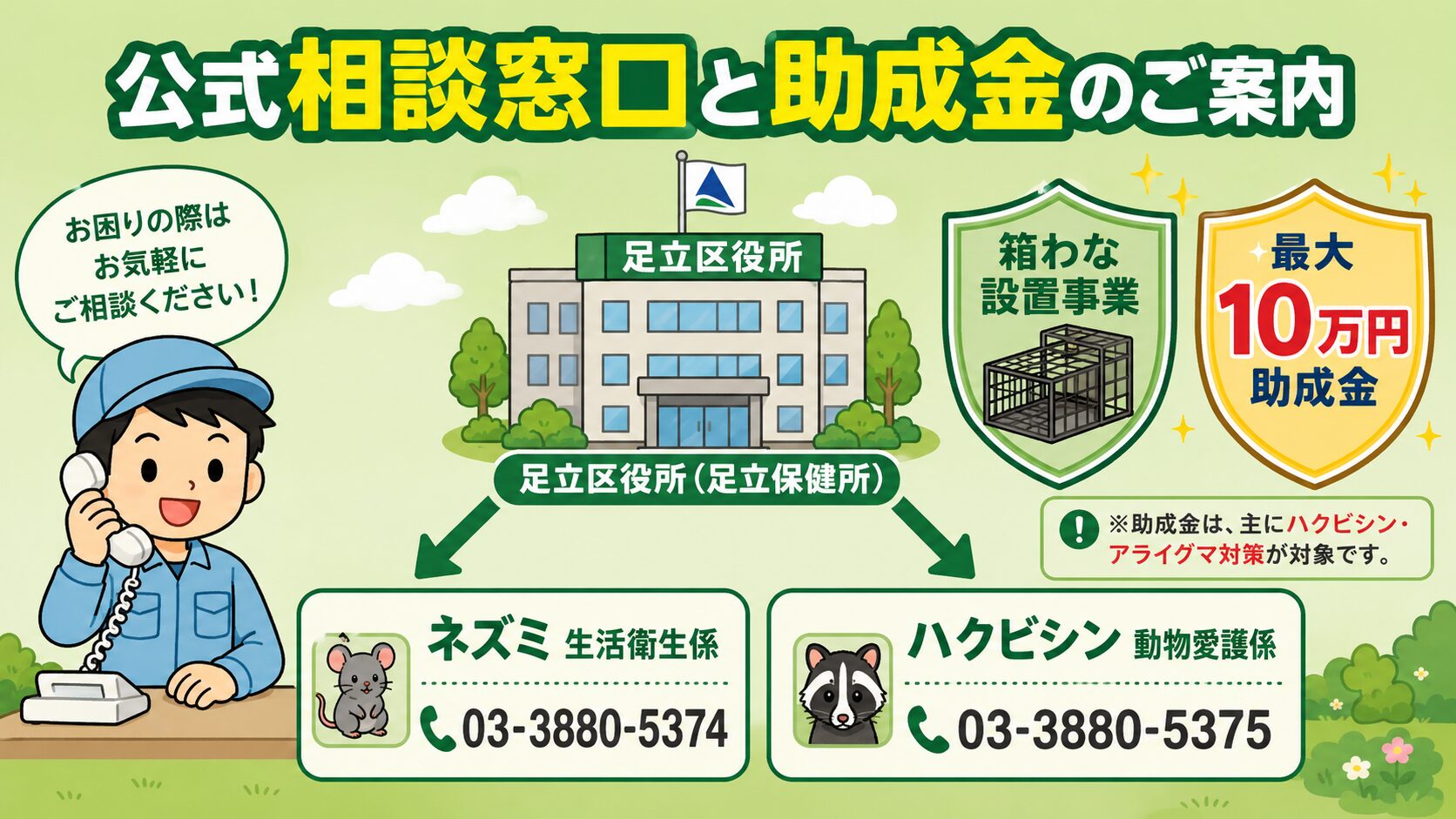 足立区の公式相談窓口と最大10万円助成金の図解。足立区役所(足立保健所)を中央に配置し、ネズミ=生活衛生係(03-3880-5374)とハクビシン=動物愛護係(03-3880-5375)の2窓口を矢印で示す構成。箱わな設置事業と最大10万円助成金のシールドアイコンを併記。