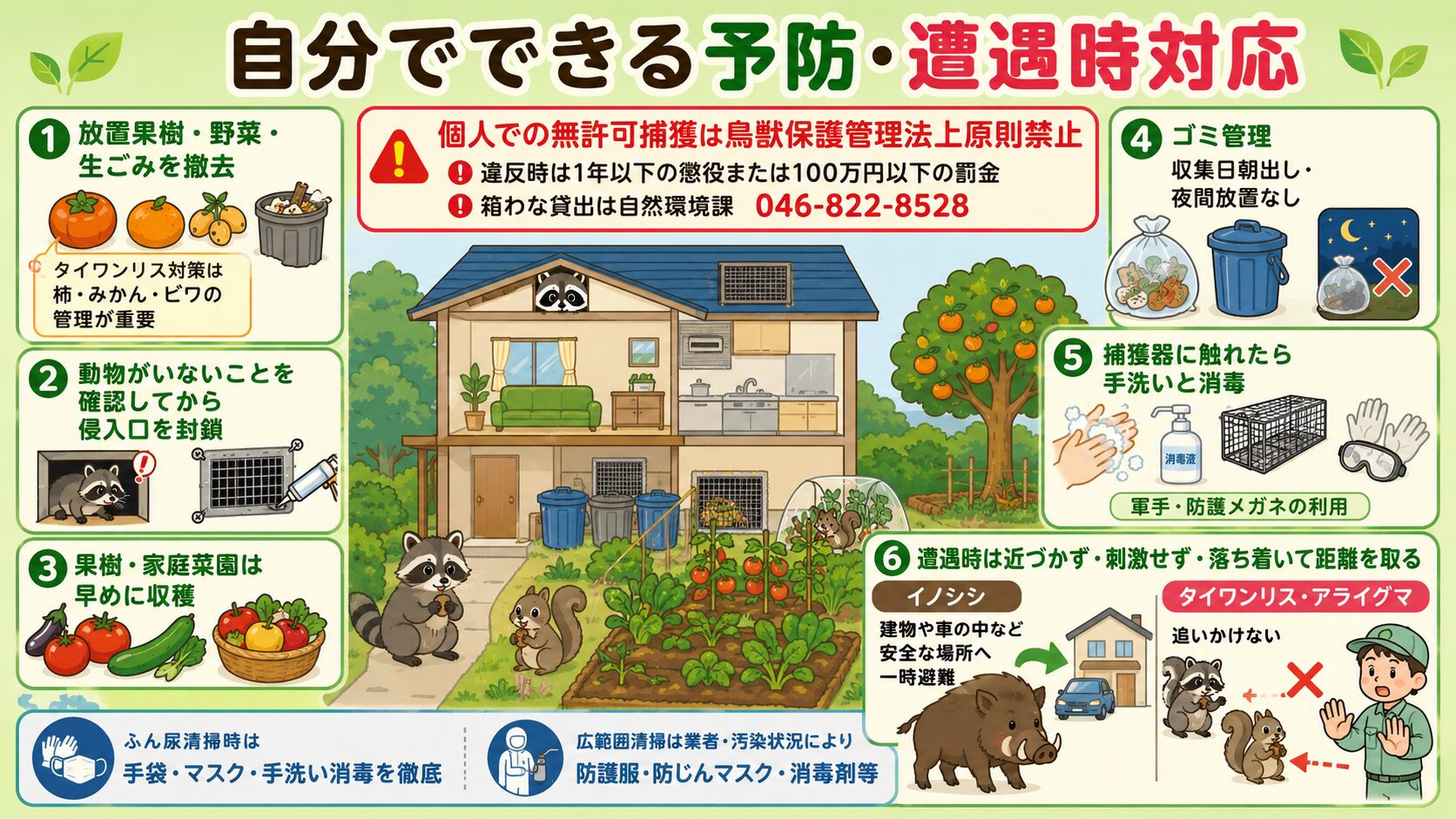 自分でできる害獣の予防・遭遇時対応。<br><br>庭・畑・住宅断面図のイラストとアイコンで6要素を表現。①誘引源を断つ(放置果樹・野菜・生ごみの撤去・特にタイワンリス対策は果樹のネット保護が重要)、②侵入口を塞ぐ(動物が残っていないことを確認後)、③ゴミ管理(収集日朝出し・夜間放置なし)、④果樹保護(タイワンリス対策・ネット設置)、⑤捕獲器に触れたら手洗い消毒、⑥遭遇時は刺激せず・近づかず・落ち着いて距離を取る(イノシシは安全な場所へ避難・タイワンリスは追いかけない)。<br><br>「個人での無許可捕獲は鳥獣保護管理法違反(懲役・罰金対象)」の注意も配置。