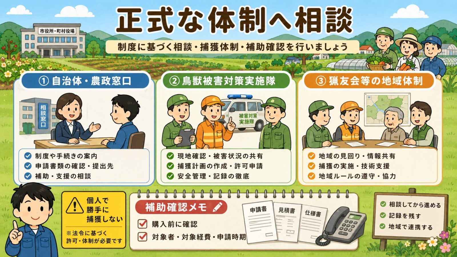 シカの農作物被害で自治体、農政窓口、鳥獣被害対策実施隊、猟友会等の正式な捕獲体制や補助制度を確認する流れを整理した図解