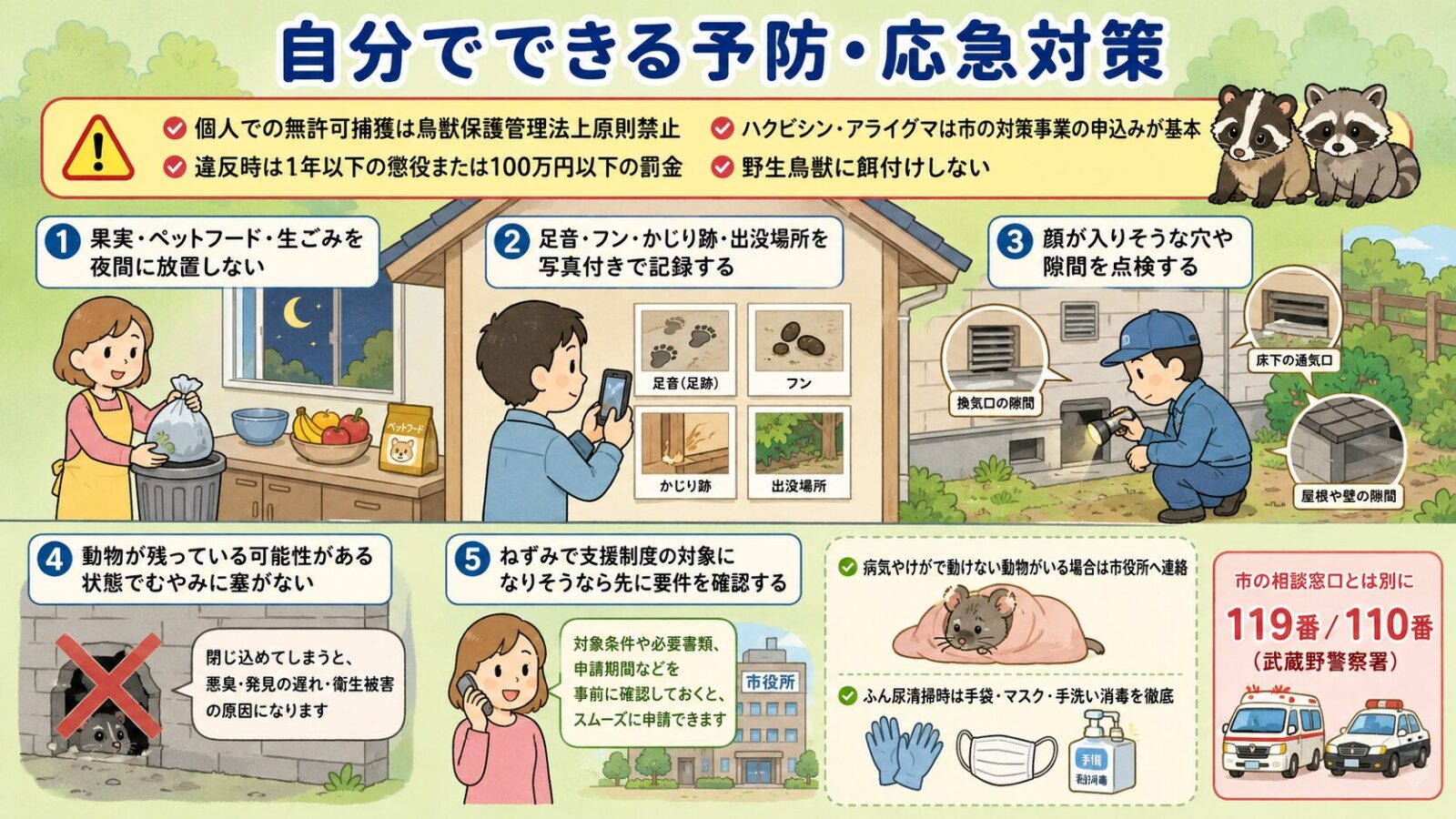 自分でできる予防・応急対策。<br><br>庭・果樹・住宅断面図のイラストとアイコンで4要素を表現:①果実・ペットフード・生ごみを夜間に放置しない(特にハクビシン・アライグマ対策)/②足音・フン・出没場所を写真付きで記録する/③屋外から見える侵入口候補を点検する(雨どいまわり・換気口・軒下などを無理のない範囲で)/④動物が残っていないか分からない段階で塞がない(屋内に取り残すと悪化のおそれ)。<br><br>上部に「個人での無許可捕獲は鳥獣保護管理法上原則禁止(違反時は1年以下の拘禁刑または100万円以下の罰金)/ハクビシン・アライグマは武蔵野市対策事業の事前調査経由が原則」と注意喚起。下部に「ふん尿清掃時は手袋・マスク・手洗い消毒を徹底(厚生労働省はレプトスピラ症について感染ネズミの尿で汚染された水などを介した感染例があると説明)」の注記。緊急時は「市の相談窓口とは別に、人身被害・救急搬送・差し迫った危険時に状況に応じて119番/110番(管轄の武蔵野警察署)」と明示。パステルグリーン背景。