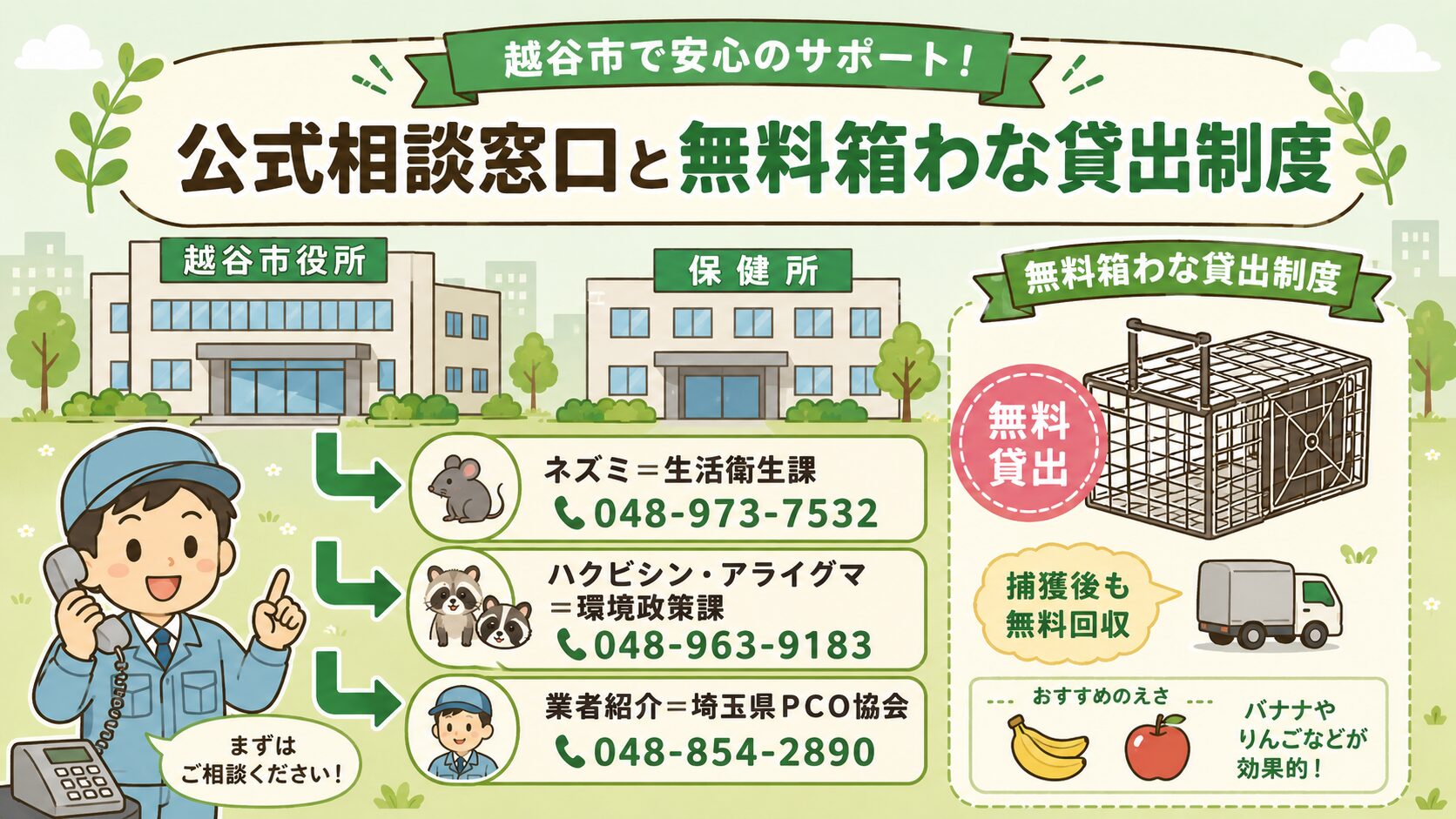 越谷市の公式相談窓口と箱わな貸出制度の図解。越谷市役所と保健所を中央に配置し、3つの窓口(①ネズミ=生活衛生課 048-973-7532 ②ハクビシン・アライグマ=環境政策課 048-963-9183 ③業者紹介=埼玉県PCO協会 048-854-2890)を矢印で示し、箱わなと餌(バナナ・りんご)のアイコンも併記。
