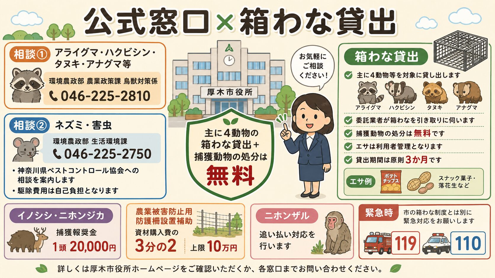 厚木市の害獣駆除公式窓口と箱わな貸出制度の図解。<br><br>厚木市役所を中心に複数窓口を視覚化:①アライグマ・ハクビシン・タヌキ・アナグマ等の相談=環境農政部 農業政策課 046-225-2810(厚木市中町3-17-17)/②ネズミ・害虫の相談=環境農政部 生活環境課 046-225-2750(市は駆除を行わず業者紹介のみ)/③けがで救急搬送が必要=119番/④身の危険がある出没・差し迫った緊急時=110番(厚木警察署など管轄の警察署)/⑤箱わな貸出(主にアライグマ・ハクビシン・タヌキ・アナグマ等・市委託業者が捕獲動物を引き取り、処分は無料・エサのみ自己負担・貸出期間原則3か月)/⑥イノシシ・ニホンジカは捕獲報奨金1頭20,000円(電気柵人里側でのわな捕獲が対象)/⑦市・JA・猟友会等による捕獲体制/約25km規模の広域獣害防護柵の維持管理/個人向け電気柵設置費用の補助、を明示。