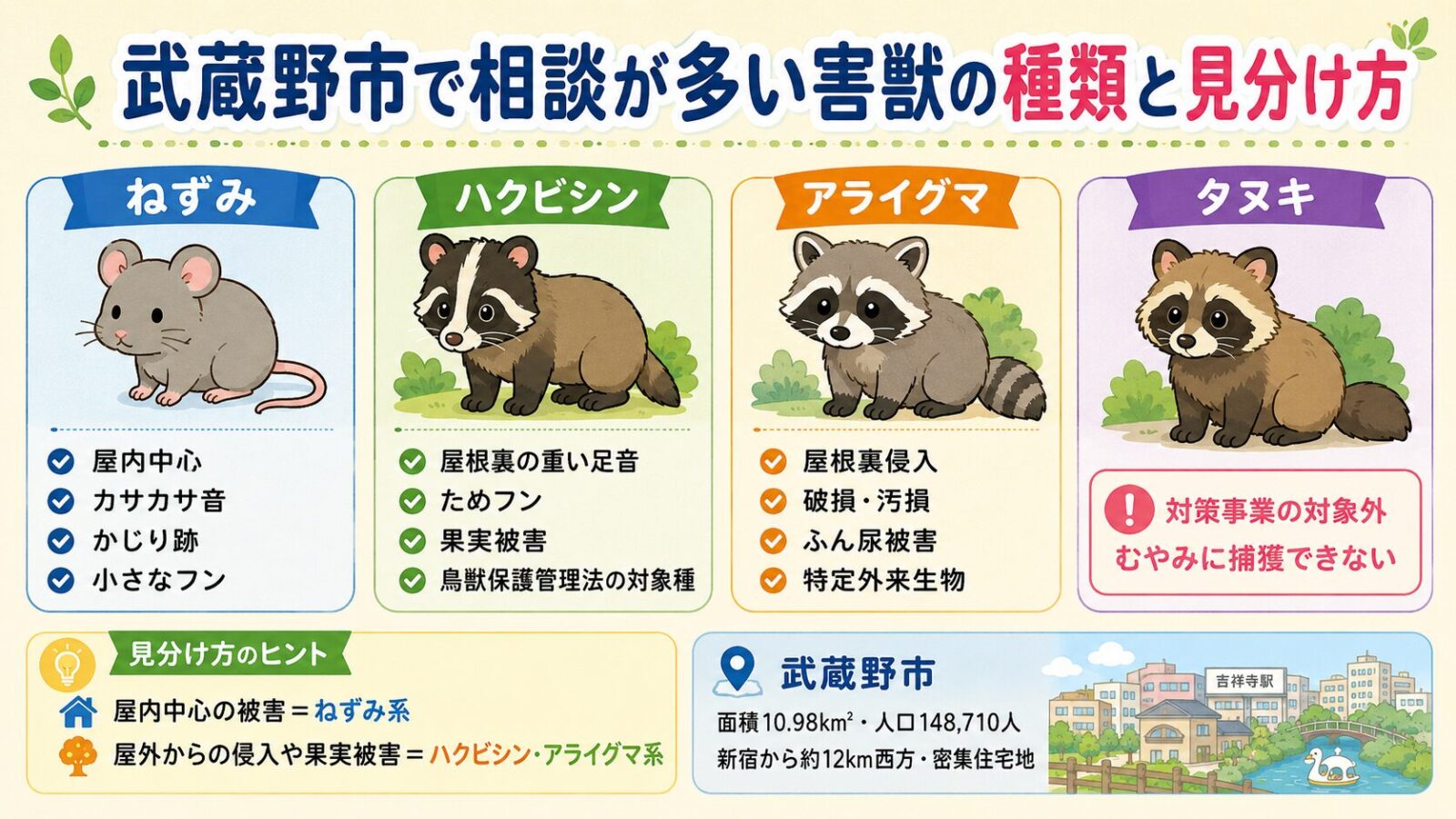 武蔵野市で相談が多い害獣の種類と見分け方。<br><br>3種類(ねずみ・ハクビシン・アライグマ)を並列で表示+タヌキは「対象外」として区別:①ねずみ=台所・収納・天井裏・壁の中でカサカサ音・食品にかじり跡・黒っぽい小さなフン/②ハクビシン=体長50-70cm(尾を含めると100cm前後)・体重3-4kg・夜行性・鳥獣保護管理法の対象種・屋根裏で重めの足音・ためフン・果実被害/③アライグマ=頭胴長42-60cm(尾20-41cm)・体重4-10kg・特定外来生物・屋根裏侵入・建物の破損/汚損・敷地内のふん尿被害/④タヌキ=見かけただけでは対策事業の対象とならない(在来種の野生鳥獣)。<br><br>「武蔵野市は面積10.98km²・人口148,710人(令和8年5月1日現在)・新宿から約12km西方・密集した住宅地でも屋内のねずみ被害と屋外からの野生動物被害の両方を考える必要」の地形注記入り。