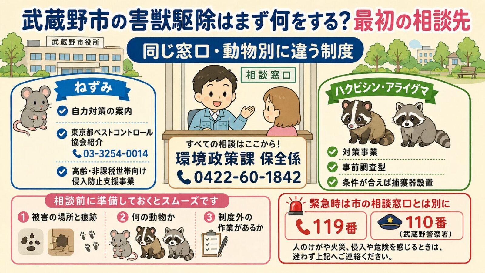 武蔵野市の害獣駆除はまず何をする?最初の相談先。<br><br>武蔵野市役所と環境政策課保全係(0422-60-1842)を中心に1窓口体制を視覚化。同じ窓口でも動物別に制度が違う:①ねずみ=自力対策の案内+公益社団法人 東京都ペストコントロール協会(03-3254-0014)の紹介/高齢・非課税世帯向けに侵入防止支援事業(無料)/②ハクビシン・アライグマ=武蔵野市ハクビシン・アライグマ対策事業(事前調査型・条件が合えば捕獲器設置)。中央に大きく「同じ窓口・動物別に違う制度」と表記。クリーム背景・パステルアクセント。