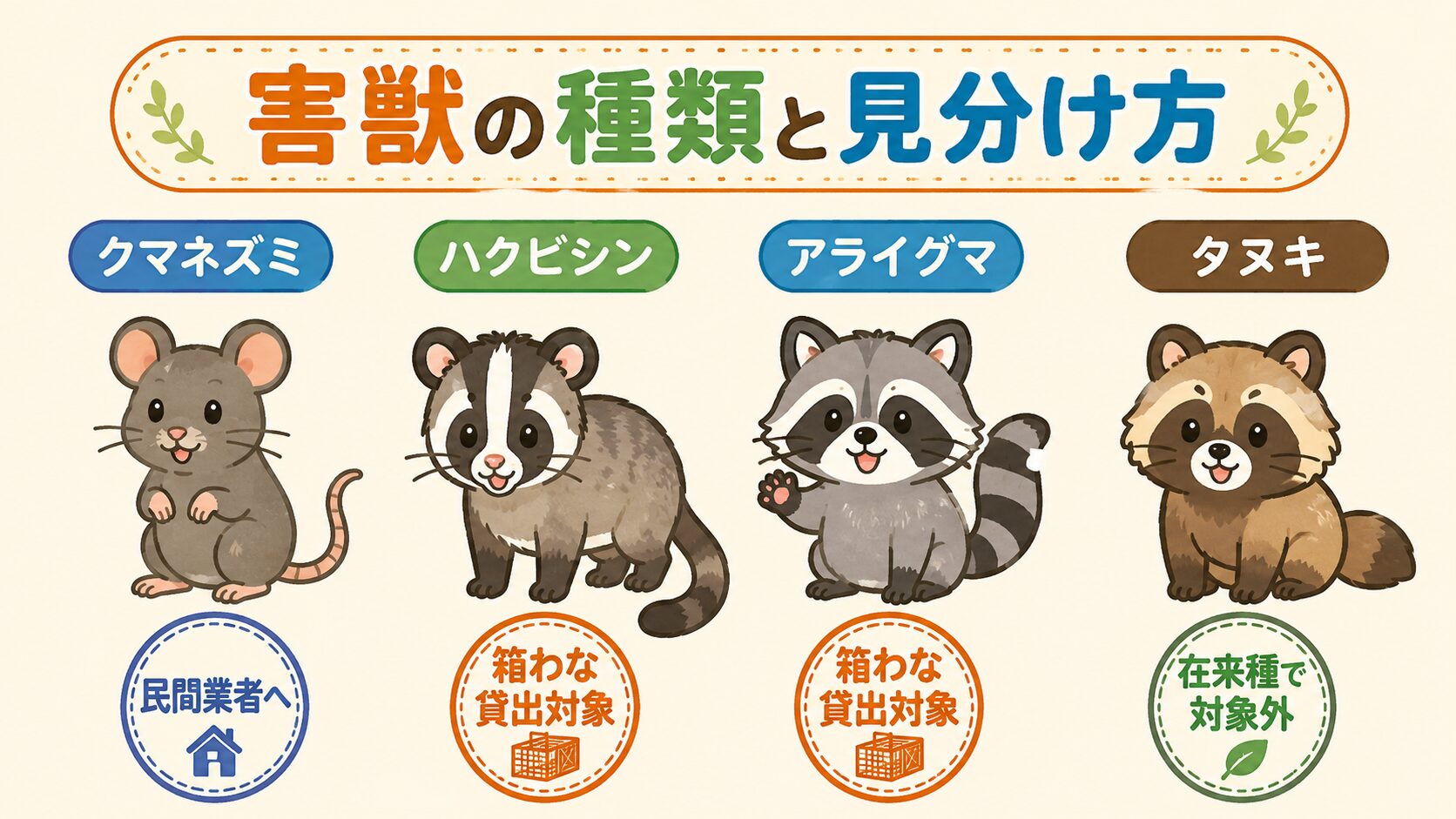 越谷市で多い害獣4種類(クマネズミ・ハクビシン・アライグマ・タヌキ)の見分け方をカード形式で並べたイラスト。クマネズミには「民間業者へ」、ハクビシン・アライグマには「箱わな貸出対象」、タヌキには「在来種で対象外」のラベルを併記。