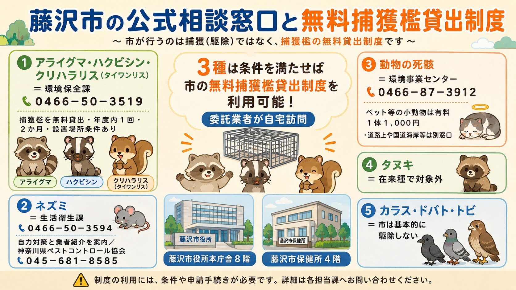 藤沢市の公式相談窓口と無料捕獲檻貸出制度の図解。藤沢市役所本庁舎8階と藤沢市保健所4階の2施設を配置し、害獣別に窓口分業を視覚化。①ネズミ=藤沢市保健所 生活衛生課 0466-50-3594(業者紹介 神奈川県ペストコントロール協会 045-681-8585)、②アライグマ・ハクビシン・クリハラリス(タイワンリス)=環境保全課 0466-50-3519(捕獲檻を無料貸出・年度内1回・2か月)、③タヌキ=在来種で対象外、④動物の死骸=環境事業センター 0466-87-3912。「3種は条件を満たせば市の無料捕獲檻貸出制度を利用可能」と明示。