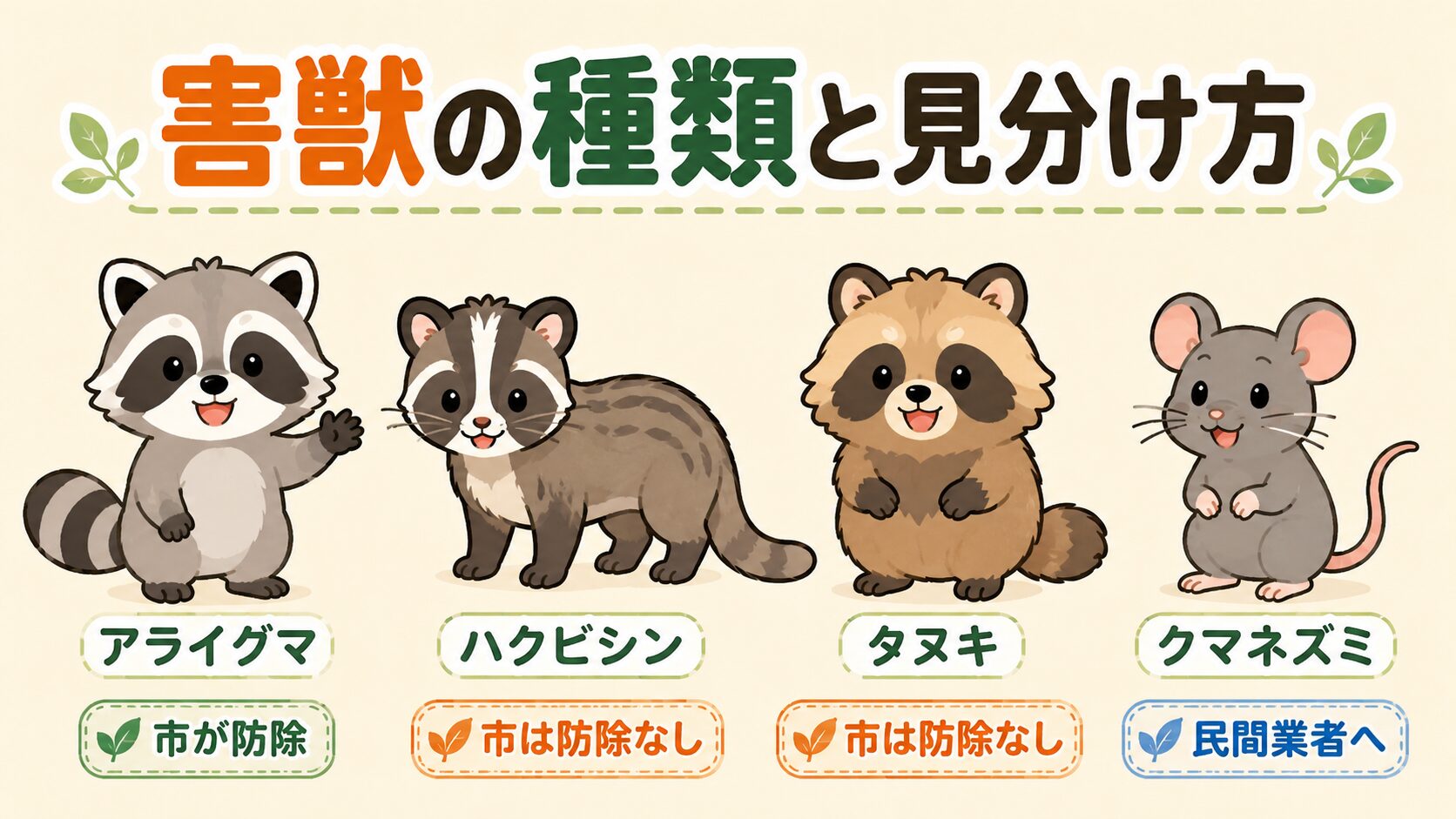 所沢市で多い害獣4種類(アライグマ・ハクビシン・タヌキ・クマネズミ)の見分け方をカード形式で並べたイラスト。アライグマには「市が防除」、ハクビシン・タヌキには「市は防除なし」、クマネズミには「民間業者へ」のラベルを併記した所沢市独自の対応分類インフォグラフィック。