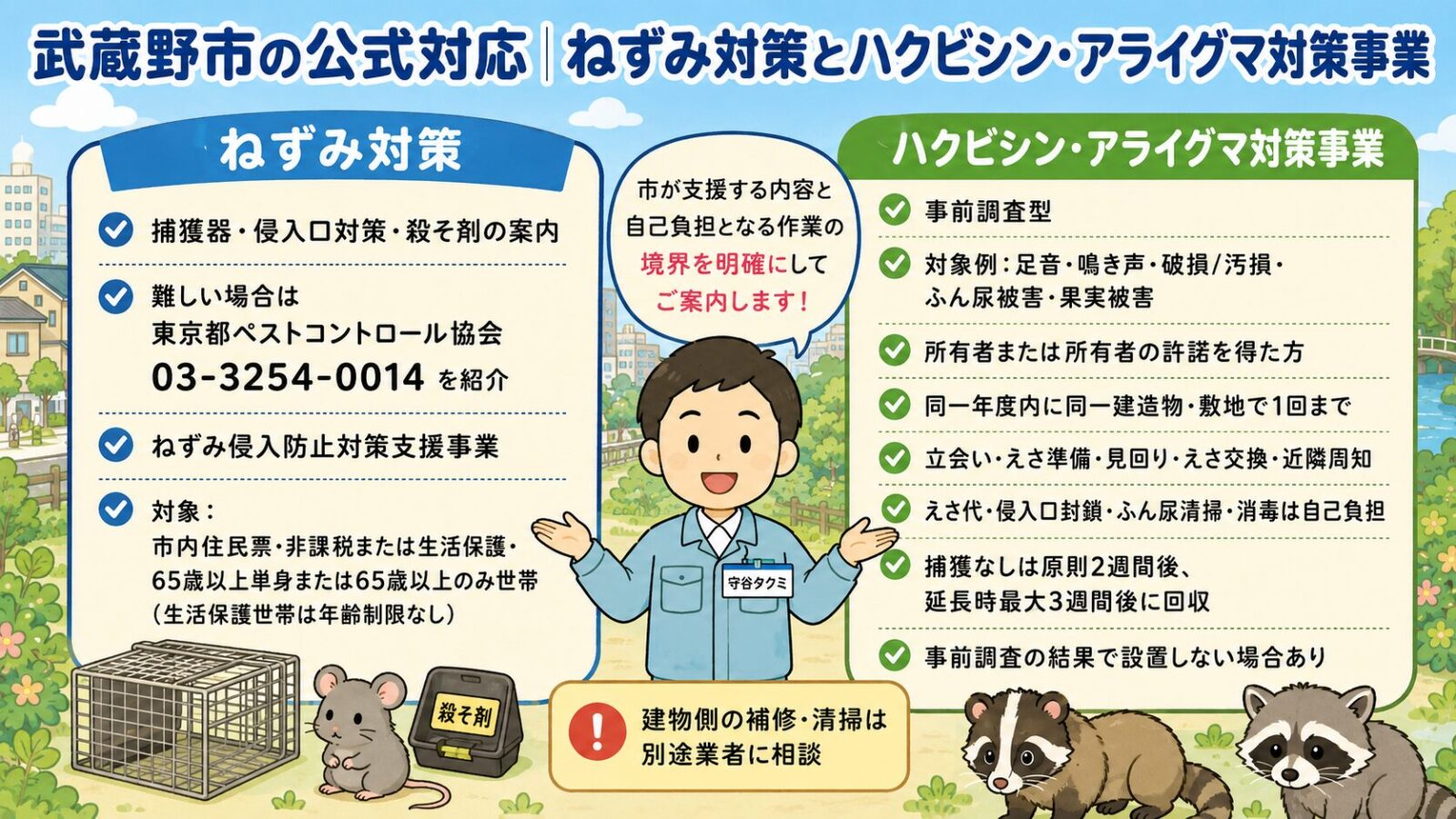武蔵野市の公式対応|ねずみ対策とハクビシン・アライグマ対策事業の整理。<br><br>左側「ねずみ対策」:環境政策課ページで自力対策(捕獲器・侵入口対策・殺そ剤)を案内+東京都ペストコントロール協会(03-3254-0014)の紹介/ねずみ侵入防止対策支援事業(高齢・非課税世帯向け)は専門業者による対策指導・簡易な侵入防止対策を無料で実施(要件:武蔵野市内の建物に住民票・市民税非課税世帯または生活保護世帯・65歳以上の単身高齢者または65歳以上のみの世帯)。<br><br>右側「ハクビシン・アライグマ対策事業」:環境政策課保全係(0422-60-1842)・市の委託専門業者が事前調査・条件が合えば捕獲器設置/対象例:建造物内の足音や鳴き声・建物の破損/汚損・敷地内のふん尿被害・果実被害・屋外飼養動物への被害/えさ代・侵入口封鎖・ふん尿清掃・消毒は自己負担。中央に守谷タクミが2方向を整理しているポーズ。