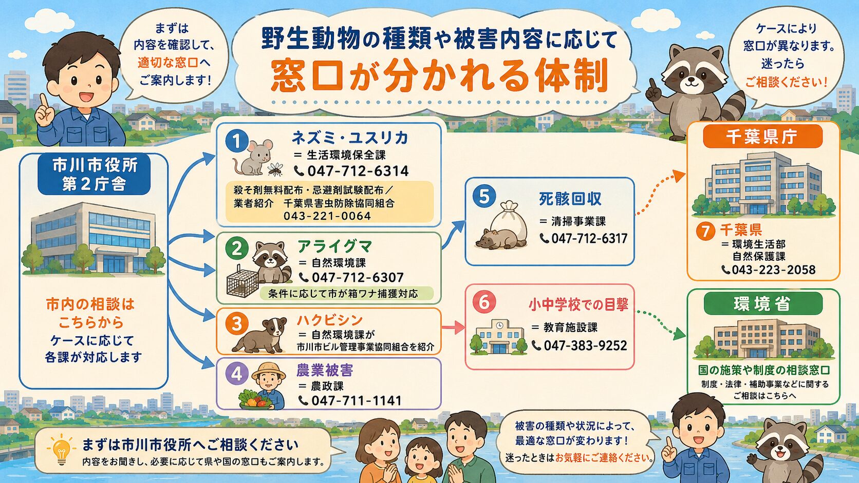 市川市の公式相談窓口とアライグマ箱ワナ捕獲制度の図解。市川市役所第2庁舎と千葉県・環境省の機関を配置し、被害内容・場所に応じて窓口が分かれる体制を視覚化。①ネズミ・ユスリカ=生活環境保全課 047-712-6314(殺そ剤無料配布・忌避剤試験配布/業者紹介 千葉県害虫防除協同組合 043-221-0064)、②アライグマ=自然環境課 047-712-6307(条件に応じて市が箱ワナで捕獲対応)、③ハクビシン=自然環境課が市川市ビル管理事業協同組合を紹介、④農業被害=農政課 047-711-1141、⑤死骸回収=清掃事業課 047-712-6317、⑥小中学校での目撃=教育施設課 047-383-9252、⑦千葉県=自然保護課 043-223-2058。「野生動物の種類や被害内容に応じて窓口が分かれる体制」と明示。