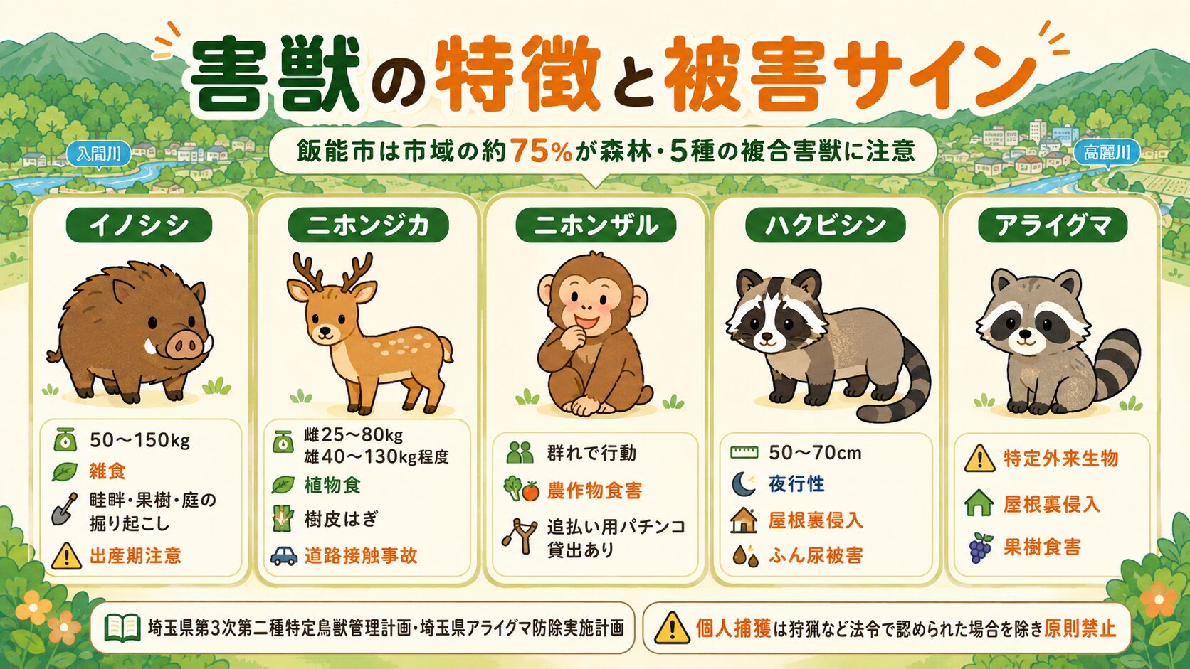 飯能市で多い害獣5種類(イノシシ・シカ・サル・ハクビシン・アライグマ)の見分け方と被害サインのインフォグラフィック。イノシシ=50-150kg・雑食・畦畔や庭の掘り起こし、ニホンジカ=雌25-80kg/雄40-130kg程度・植物食・樹皮はぎや植林木食害・道路接触事故、ニホンザル=群れで農作物食害、ハクビシン=屋根裏侵入・ふん尿被害、アライグマ=特定外来生物・屋根裏侵入・果樹食害を分かりやすく整理。「飯能市は約75%が森林」の地形注記入り。