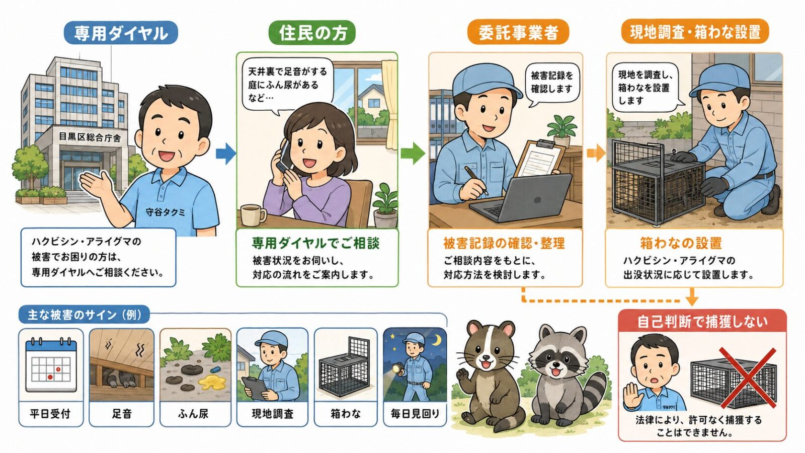 目黒区のハクビシン・アライグマ専用ダイヤルと箱わな制度を示す図解