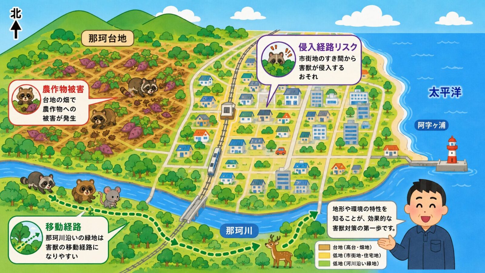 ひたちなか市の地形と点検ポイントを示す模式マップ。上が北で、東（右）に太平洋の海岸線（阿字ヶ浦）、南（下）に那珂川を配置し、市の中央から西に標高約30メートルの那珂台地、太平洋岸と那珂川下流に標高約7メートルの低地が広がる起伏の少ない平坦な地形を表現。台地の農地はさつまいも畑、市街地はすき間からの侵入、那珂川沿いの緑地は野生動物の通り道として点検ポイントを示すいらすとや風イラスト。海は東、那珂川は南に必ず置く。