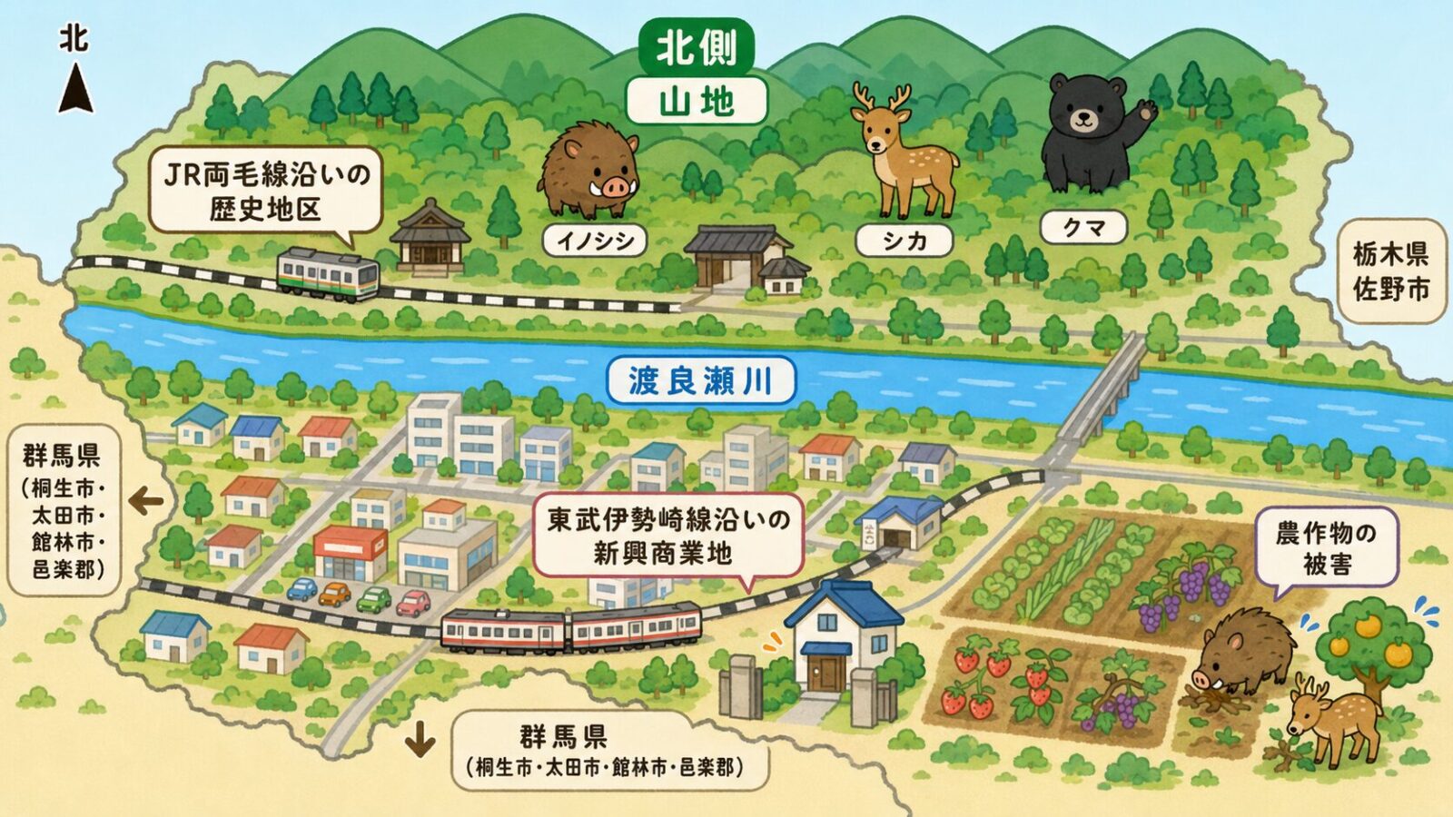 足利市の地形と点検ポイントを示す模式マップ。上が北で、市の中央を渡良瀬川が東西に流れ、北側にJR両毛線沿いの歴史地区と山地、南側に東武伊勢崎線沿いの新興商業地と平地を配置。隣接は東に栃木県佐野市、西と南に群馬県桐生市・太田市・館林市・邑楽郡。北部山地はイノシシ・シカ・クマ、市街地はすき間からの侵入、農地は野菜・果樹の食害に注意と示すいらすとや風イラスト。