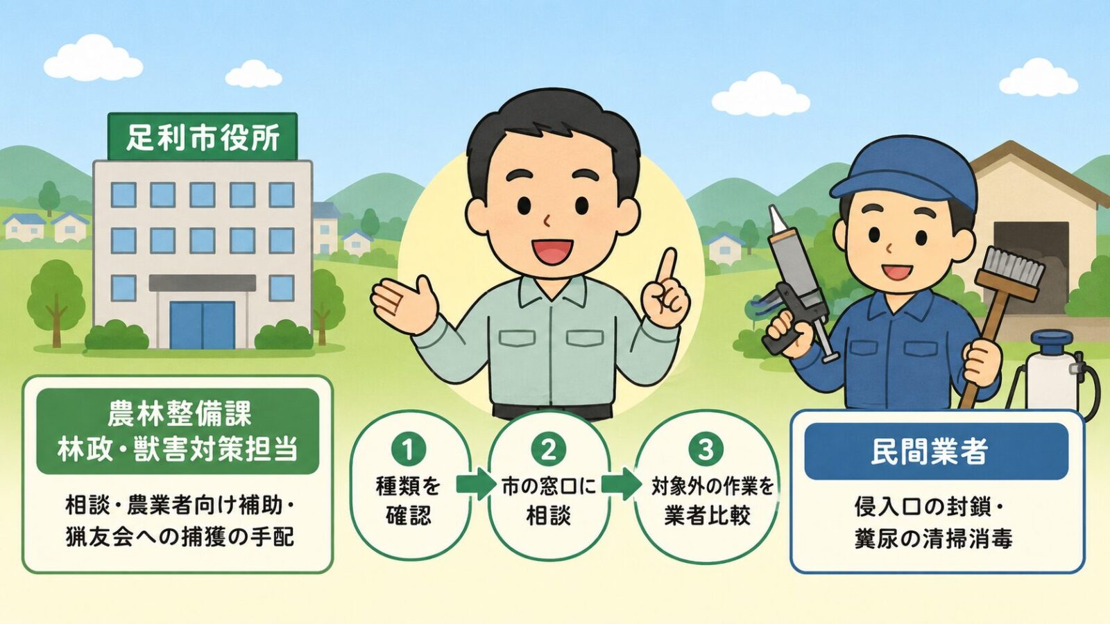足利市の害獣相談はまずどこに相談するかを示す図。市の公式窓口(農林整備課林政・獣害対策担当が相談受付と農業者向けの対策費補助・猟友会への捕獲の手配を担当)と民間業者(侵入口の封鎖・糞尿の清掃消毒)の役割分担と、種類を確認→市の窓口に相談→制度の対象外作業を業者比較の3ステップを守谷タクミが案内するいらすとや風イラスト。