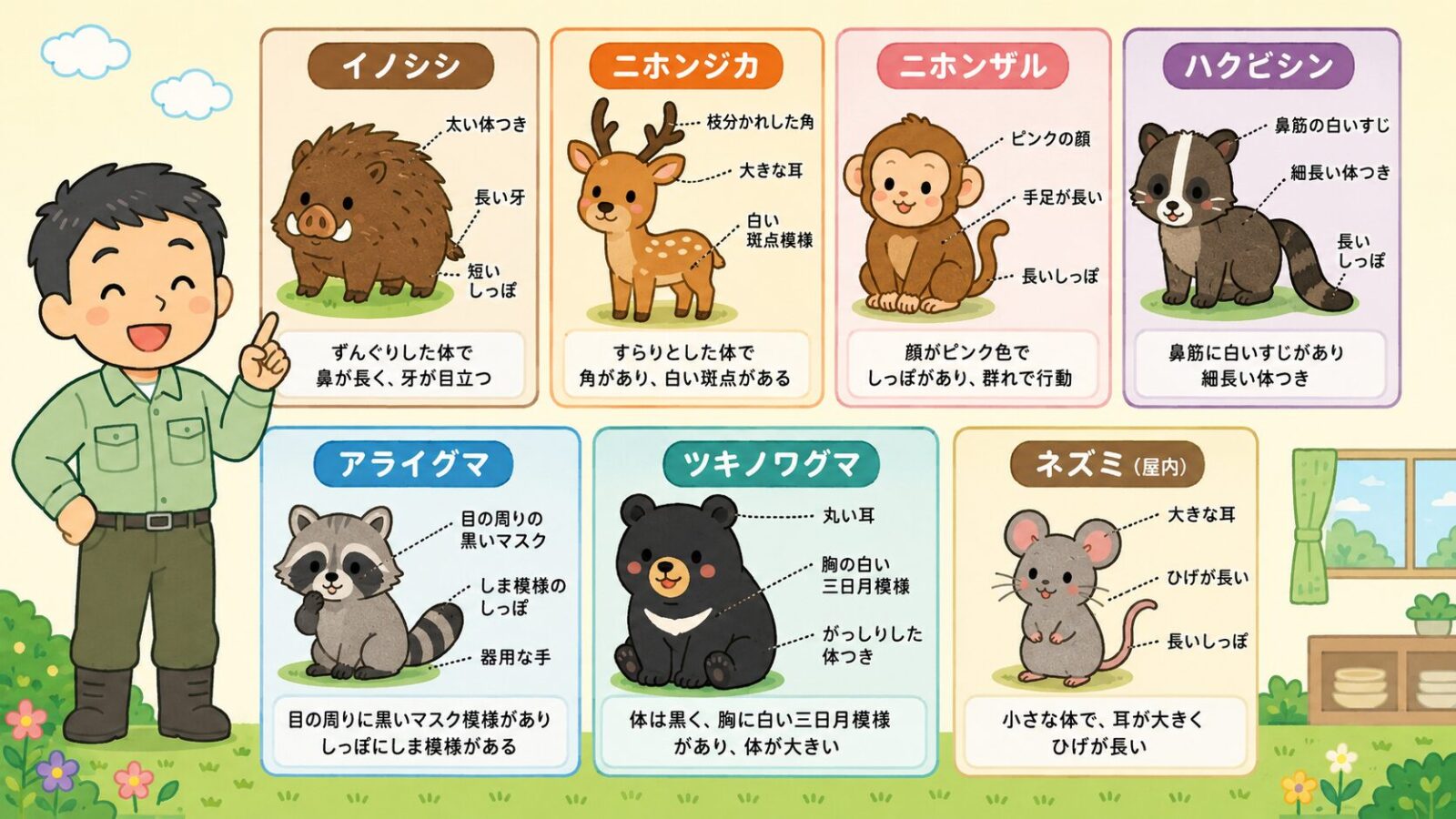 佐野市で注意したいイノシシ、ニホンジカ、ニホンザル、ハクビシン、アライグマ、ツキノワグマ、ネズミの種類と被害サインを示した図解