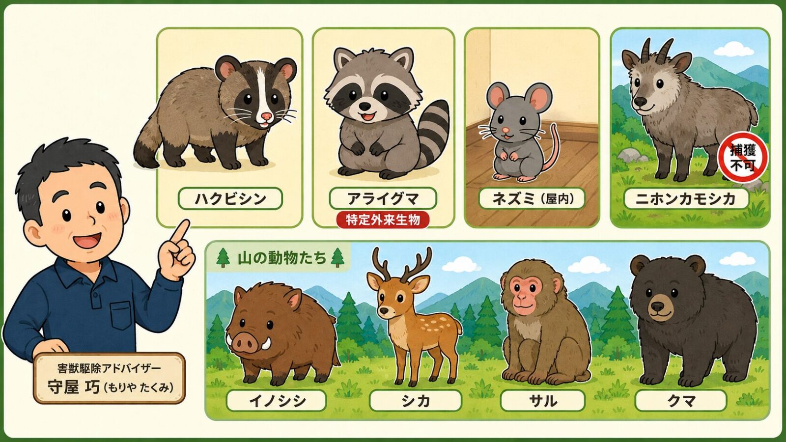 鹿沼市で見られる害獣を整理した図。市が捕獲支援する小型獣としてハクビシン(夜行性・屋根裏に侵入)・アライグマ(特定外来生物)、住宅内で注意したいネズミ、山地で注意するイノシシ・シカ・サル・クマ、特別天然記念物のニホンカモシカ(捕獲不可)を守谷タクミが解説するいらすとや風イラスト。