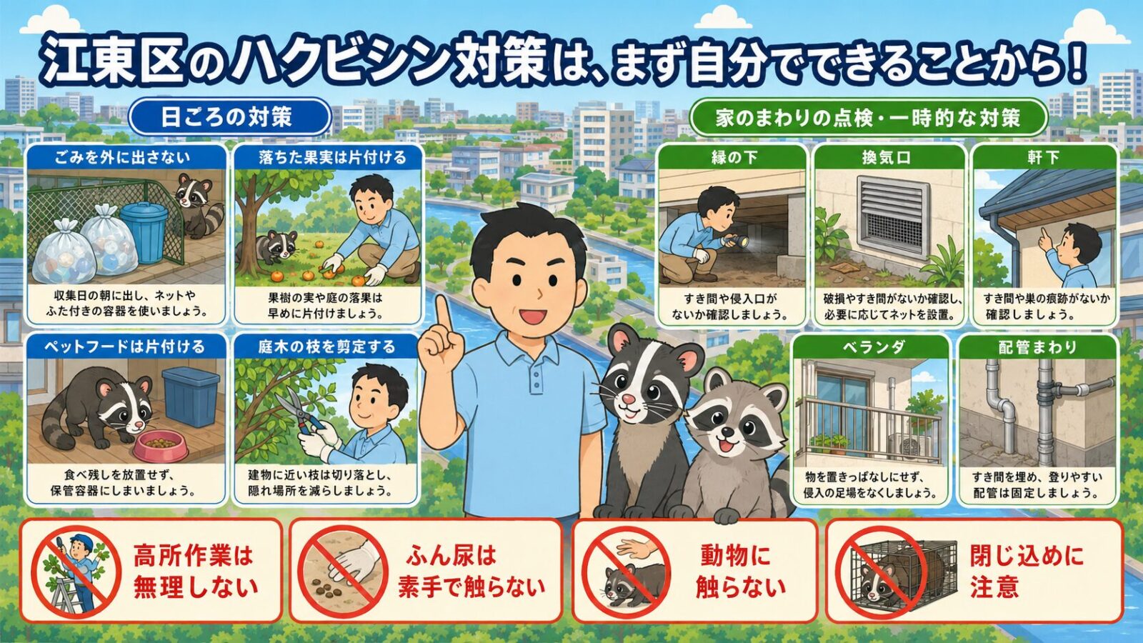 江東区で自分でできるハクビシン予防と応急対策のイラスト
