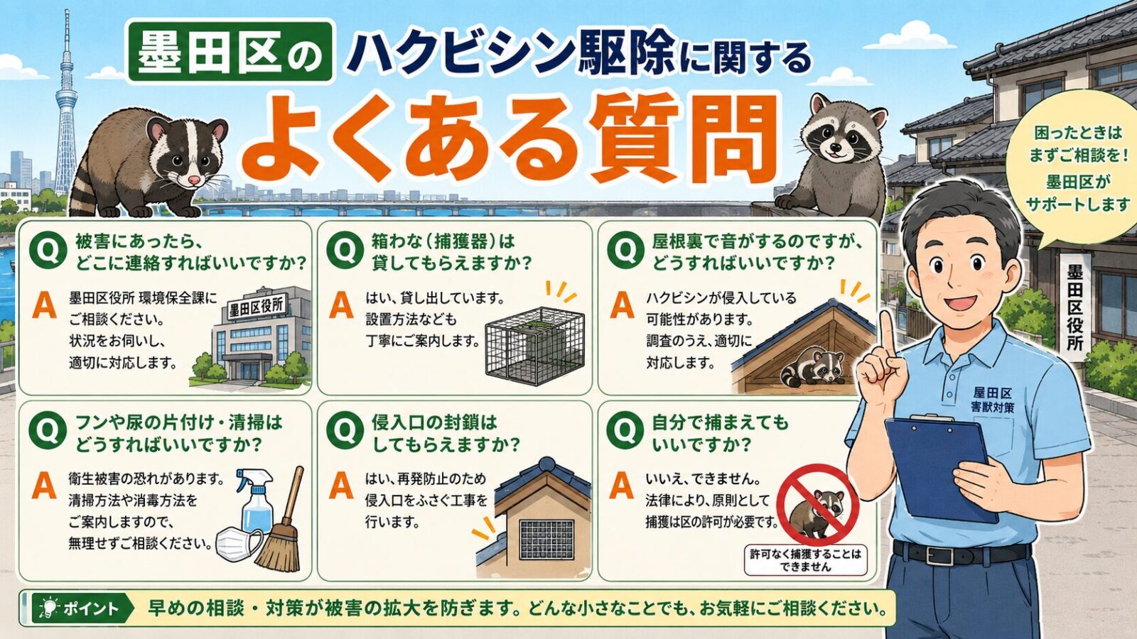 墨田区のハクビシン駆除でよくある質問を整理したイラスト