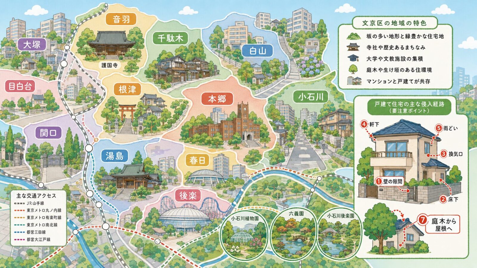 文京区の地域特性とハクビシンの侵入経路を示す模式マップ