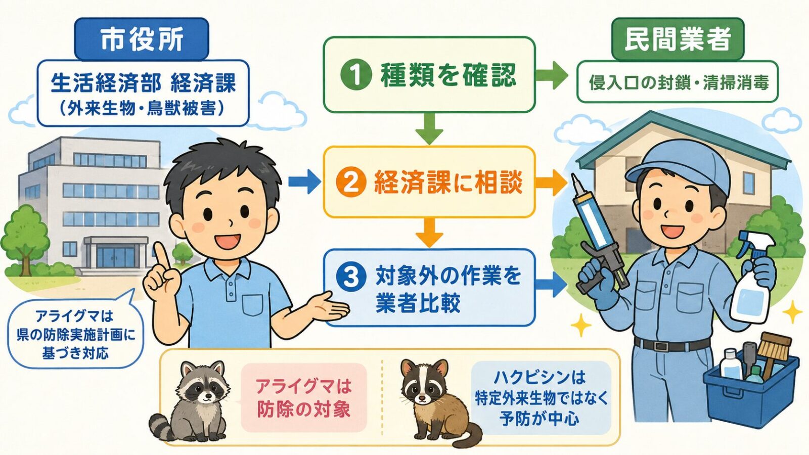 守谷市の害獣相談はまずどこに相談するかを示す図。市の公式窓口(県のアライグマ対策一覧で守谷市担当とされる生活経済部経済課)が外来生物・鳥獣被害の相談を受け、アライグマは県の防除実施計画に基づき対応し市が捕獲用の檻を貸出、民間業者が侵入口の封鎖・糞尿の清掃消毒を担う役割分担と、種類を確認→経済課に相談→制度の対象外作業を業者比較の3ステップを守谷タクミが案内するいらすとや風イラスト。
