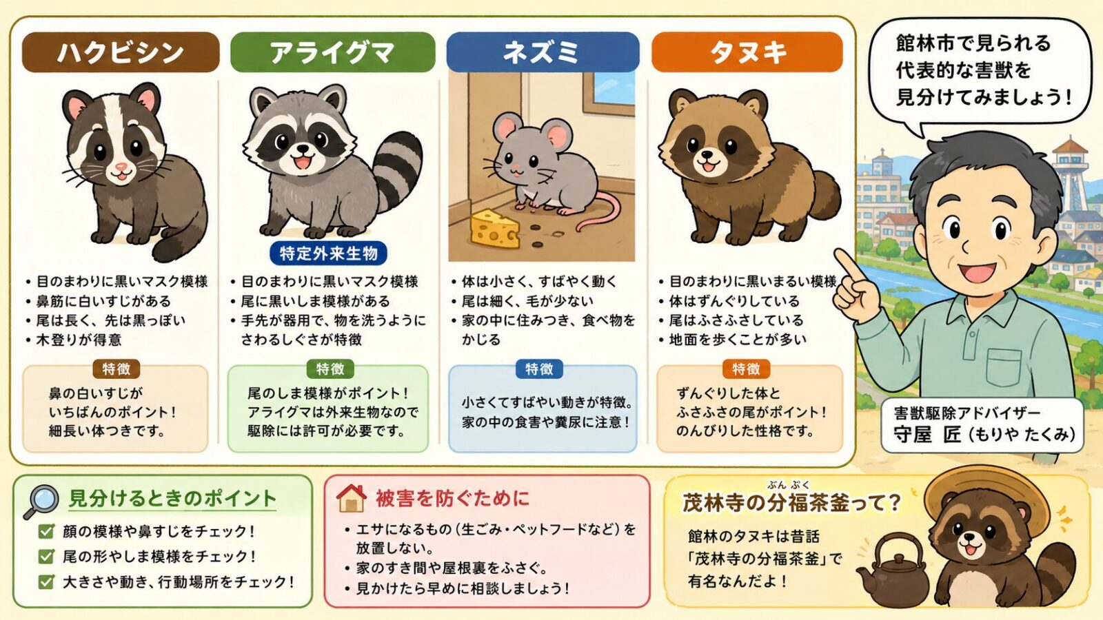 館林市で見られる害獣を整理した図。ハクビシン(夜行性・屋根裏に侵入)・アライグマ(特定外来生物)、住宅内で注意したいネズミ、平地や沼の周辺で見られるタヌキを守谷タクミが解説するいらすとや風イラスト。