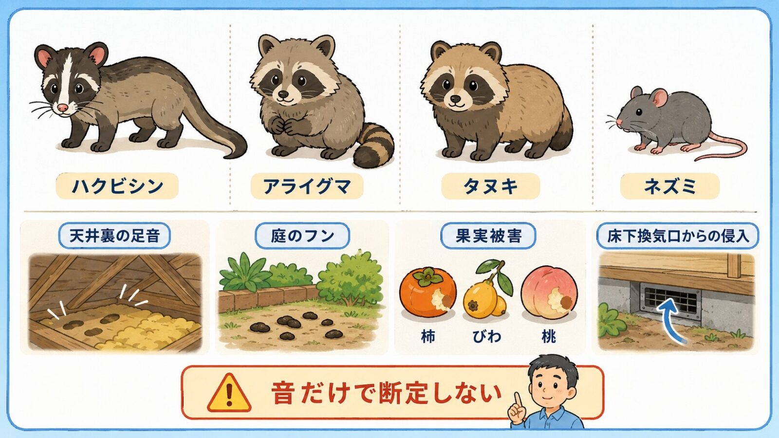 品川区で混同しやすいハクビシンとアライグマの特徴と被害サイン