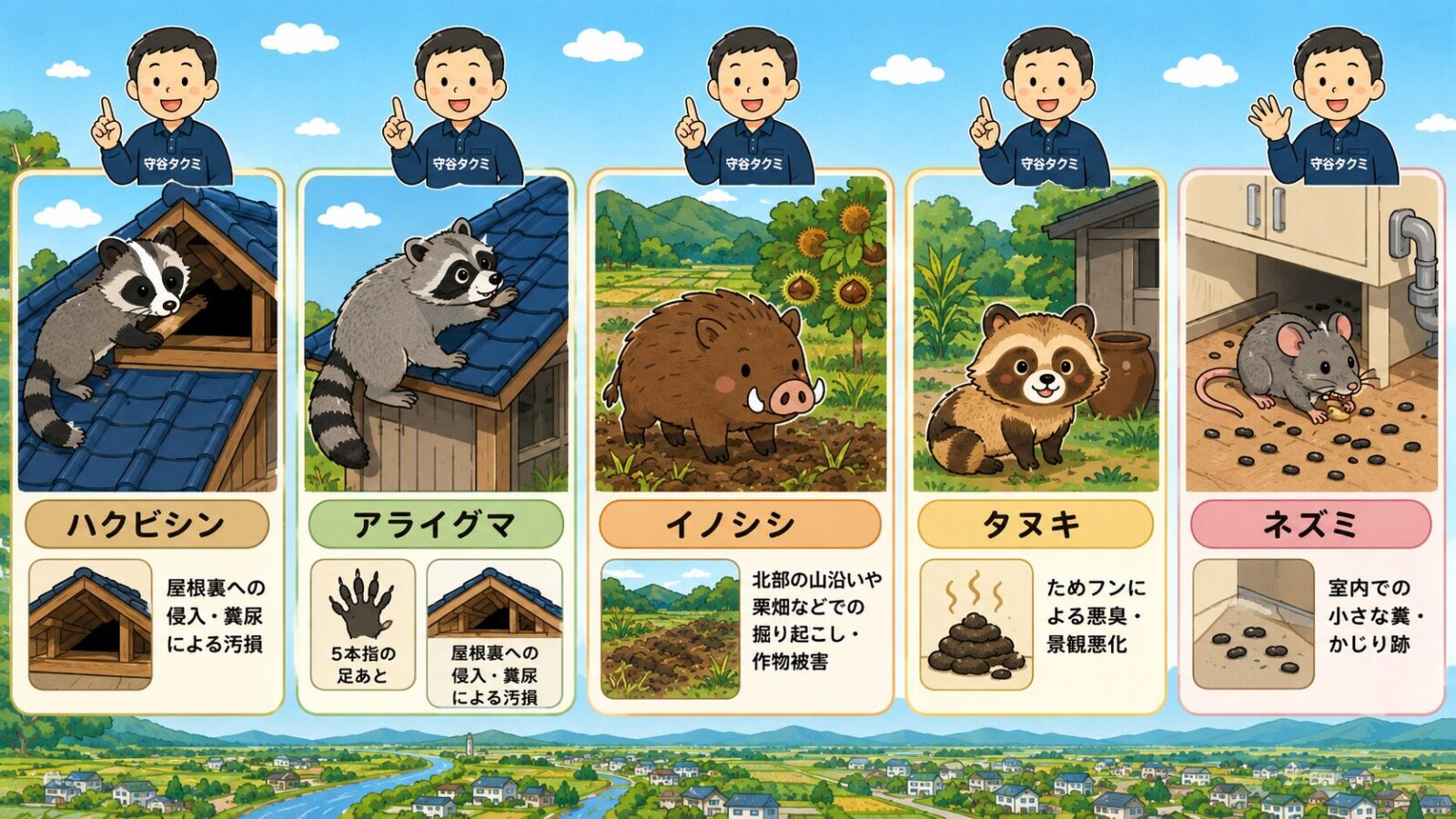 筑西市で注意したいハクビシン、アライグマ、イノシシ、タヌキ、ネズミの種類と被害サインを図鑑風に整理した図解