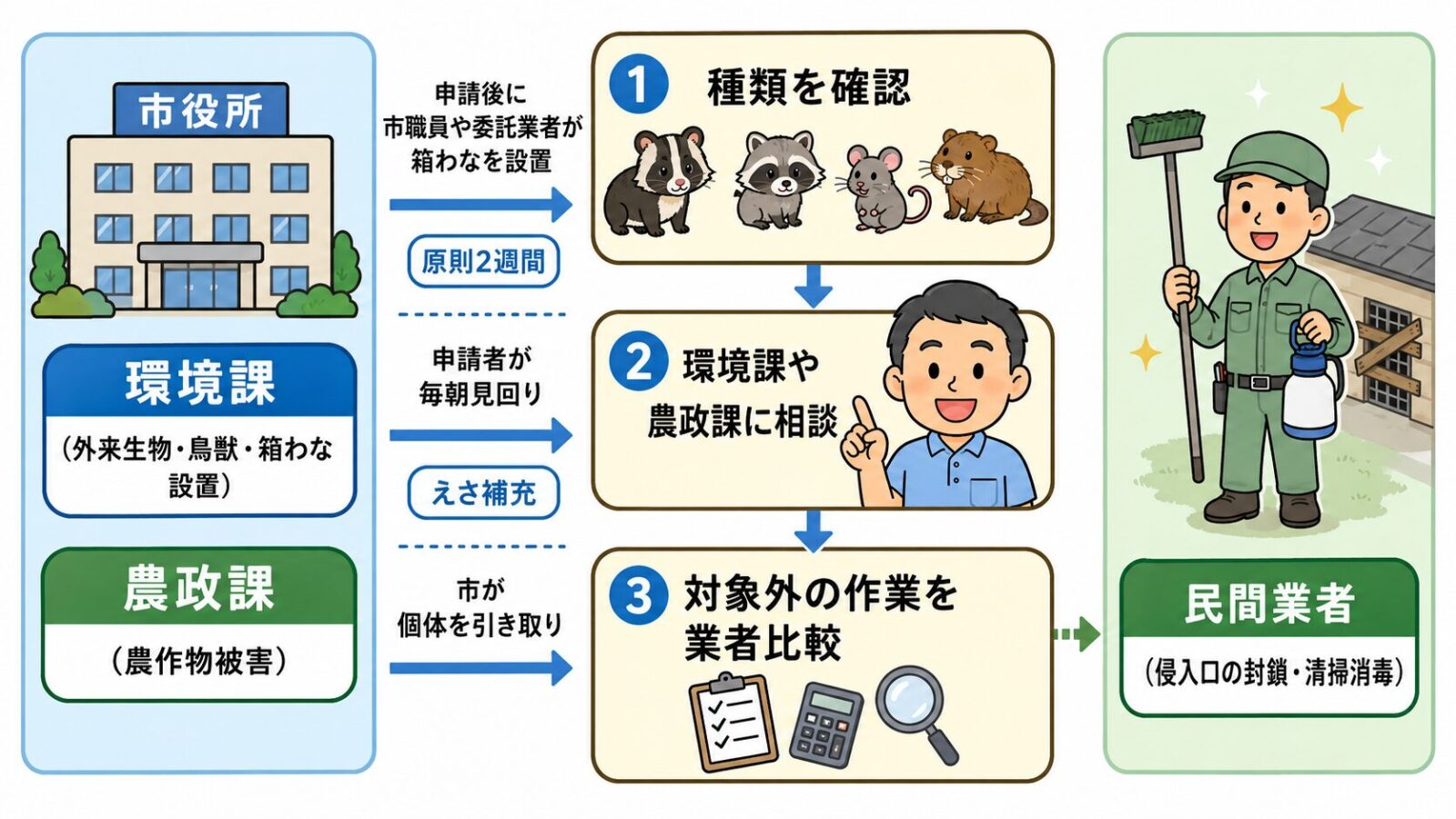 古河市の害獣相談はまずどこに相談するかを示す図。市の公式窓口(県のアライグマ対策一覧で古河市担当とされる産業部環境課と市民部農政課)が相談を受け、申請後は市職員または委託業者が箱わなを設置し市が個体を引き取る流れ、民間業者が侵入口の封鎖・糞尿の清掃消毒を担う役割分担と、種類を確認→環境課や農政課に相談→制度の対象外作業を業者比較の3ステップを守谷タクミが案内するいらすとや風イラスト。